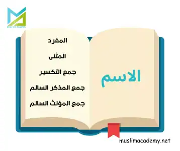 Learn Quranic Arabic Online 10, Muslim Academy