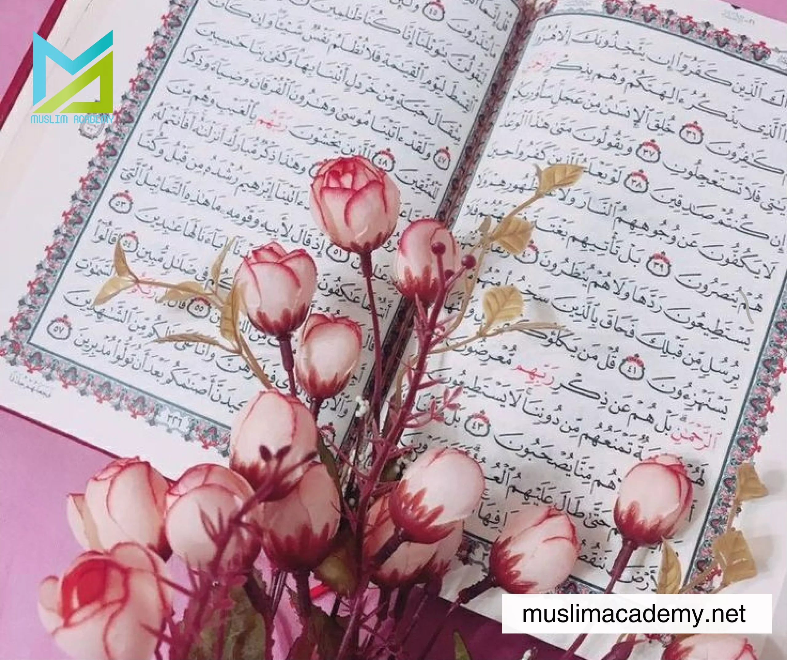 Best Online Quran Classes 3, Muslim Academy