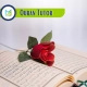 Quran Tutor, Muslim Academy