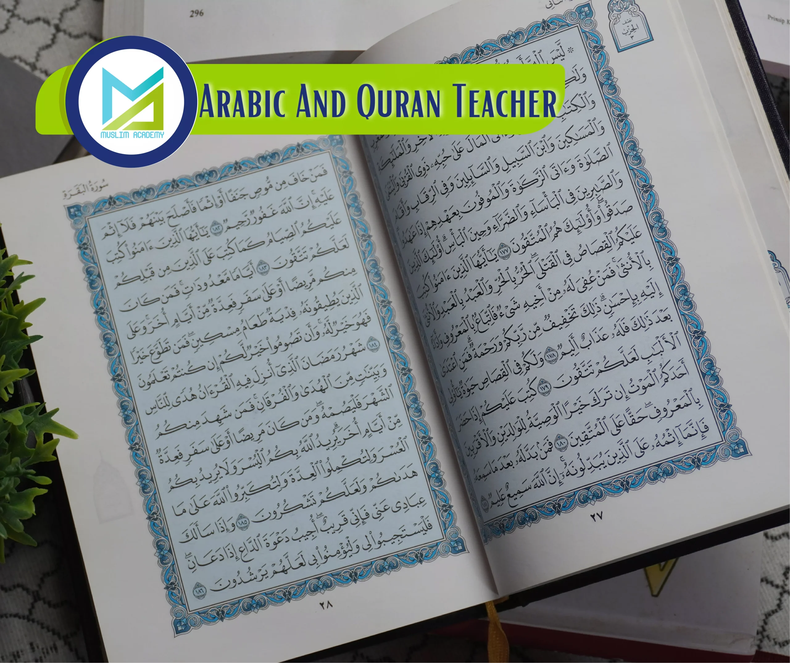 Arabic And Quran Teacher, Muslim Academy
