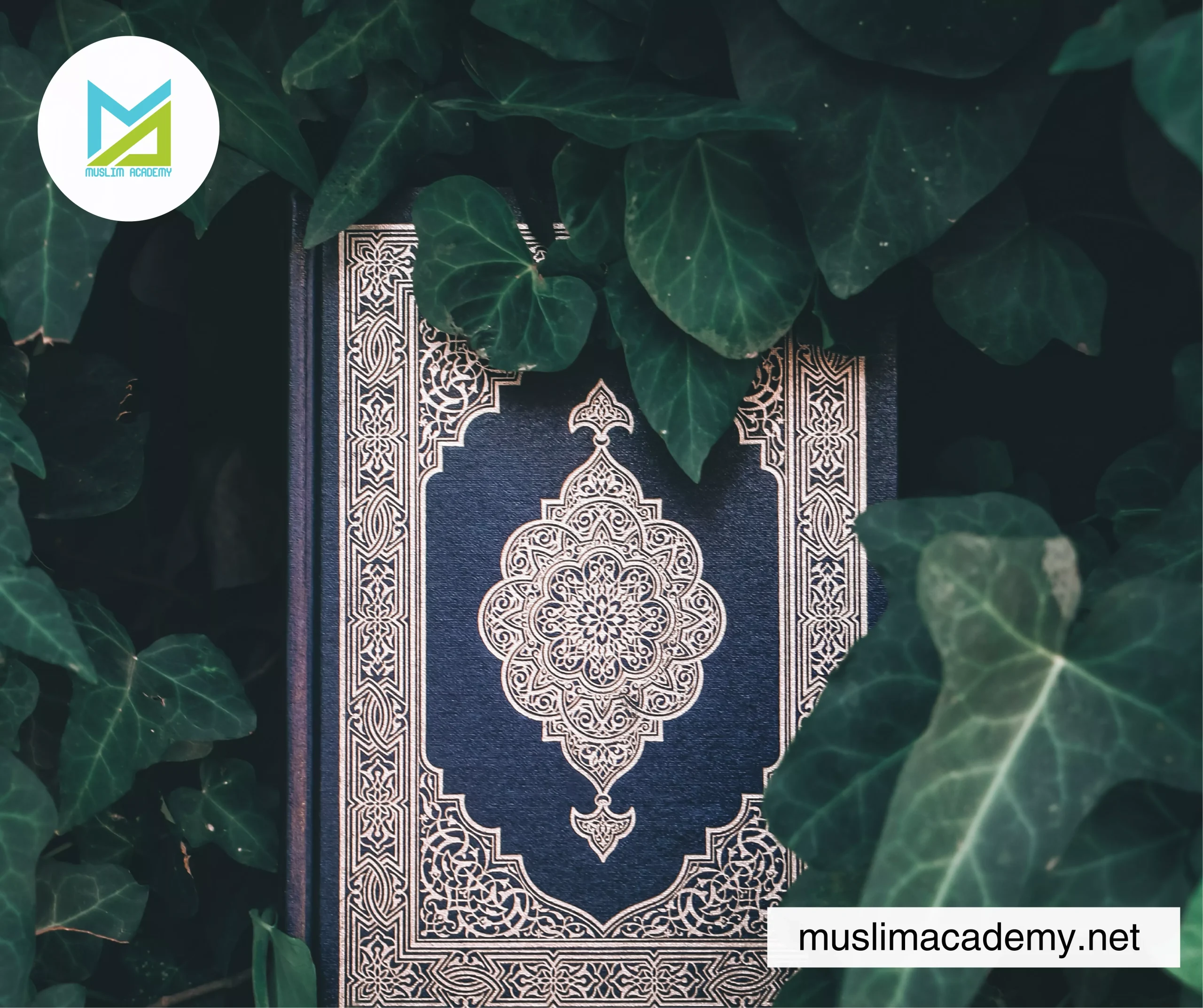 Arabic Quran Lessons 2, Muslim Academy