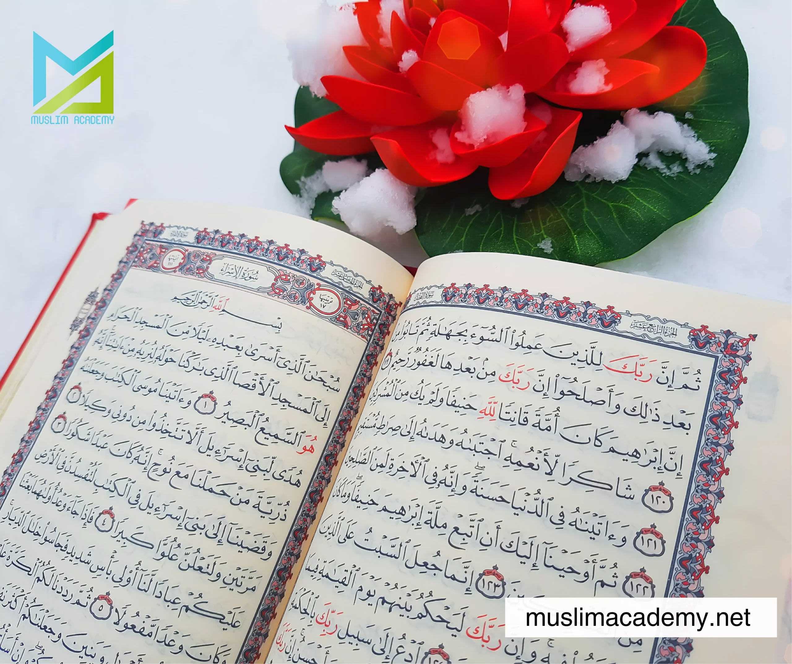 Online Quran Classes For Adults UK 2, Muslim Academy