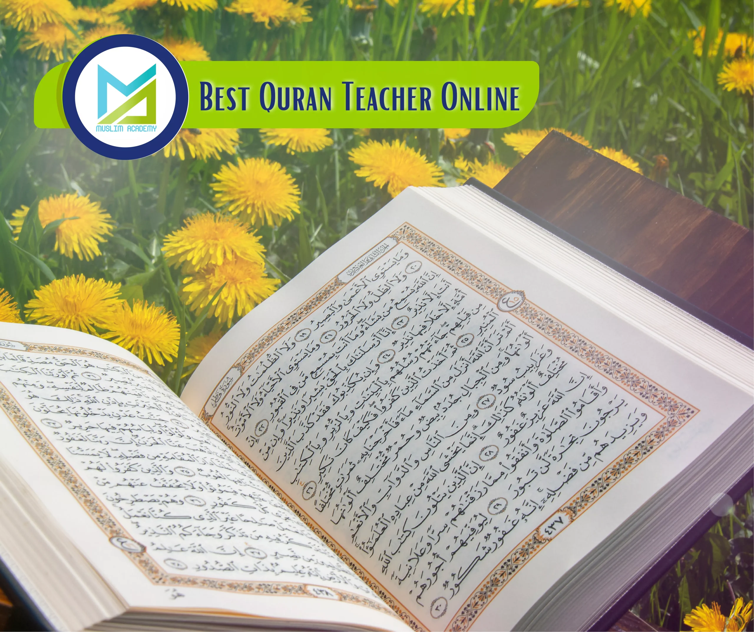 Best Quran Teacher Online, Muslim Academy