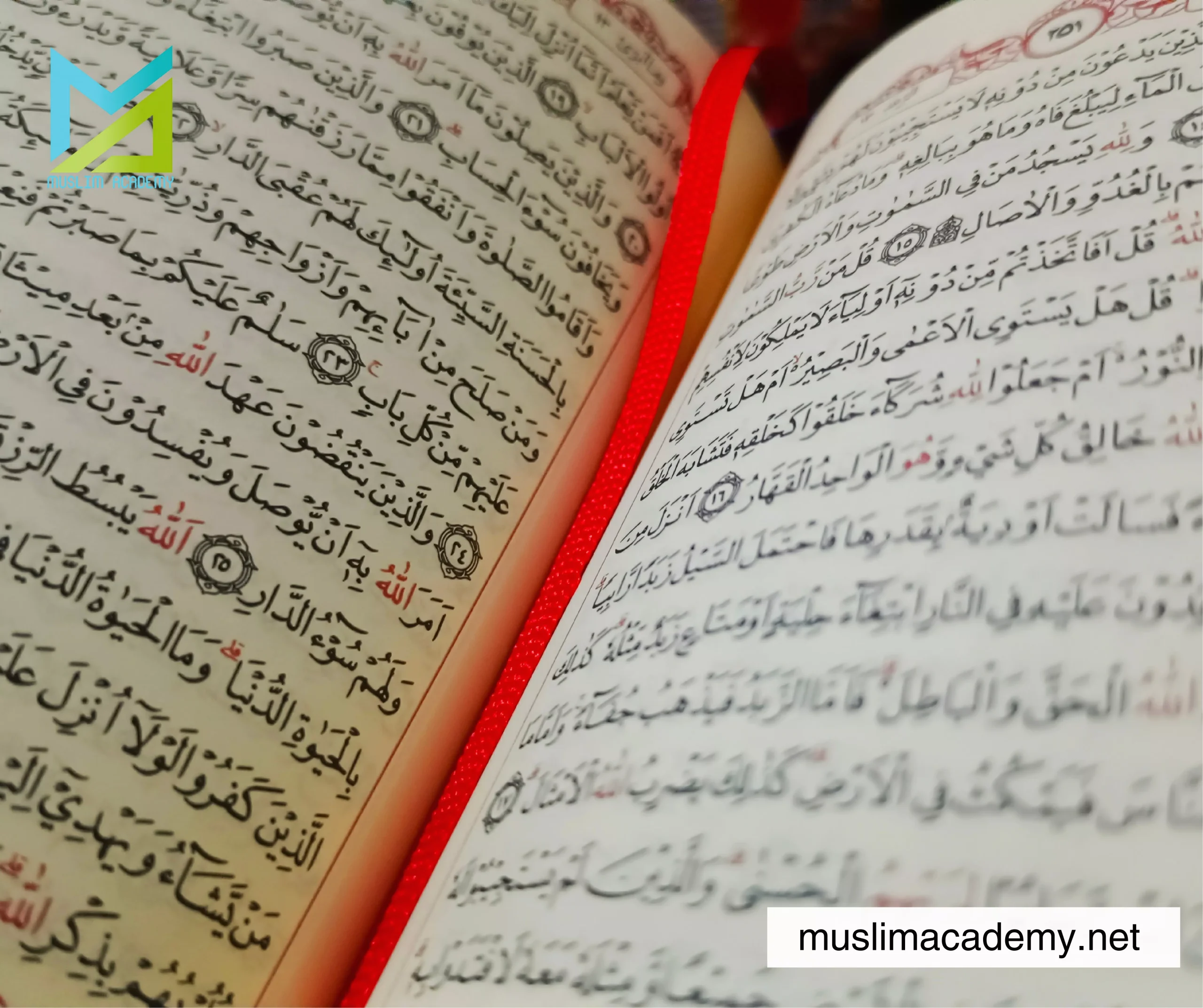 Female Quran Teacher 2, Muslim Academy