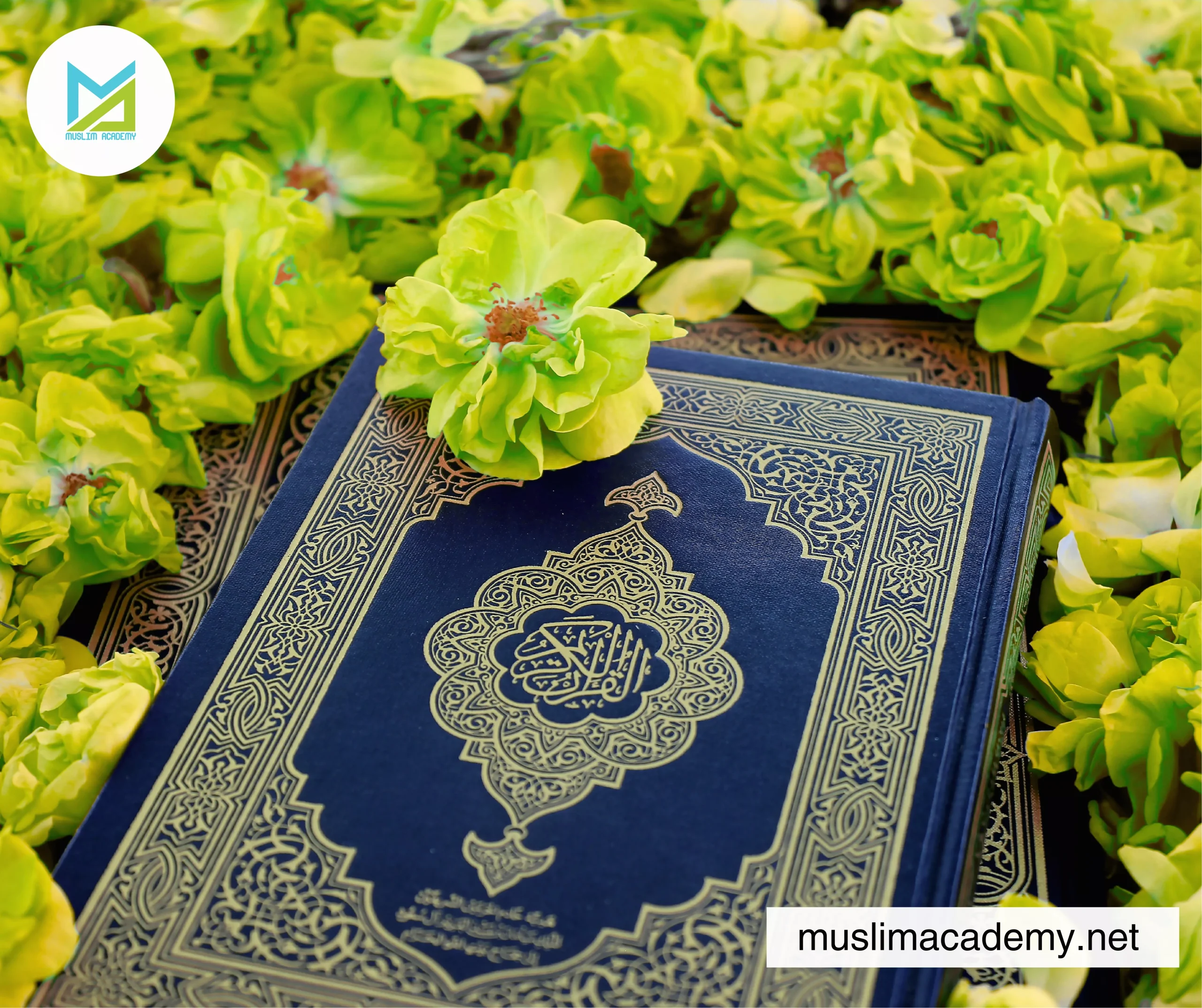 Islam Classes For Adults 2, Muslim Academy