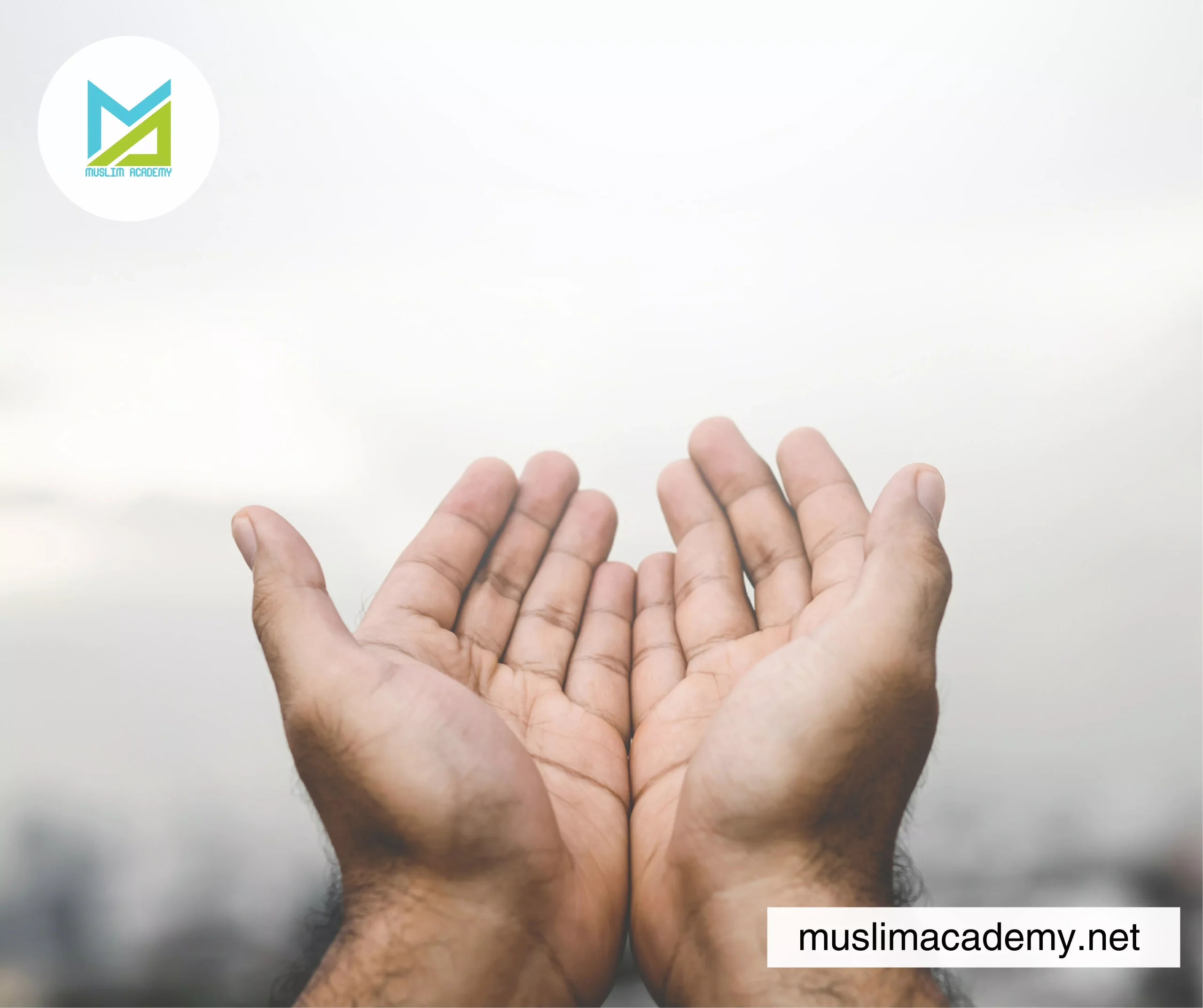Islamic Tutor Online 2, Muslim Academy