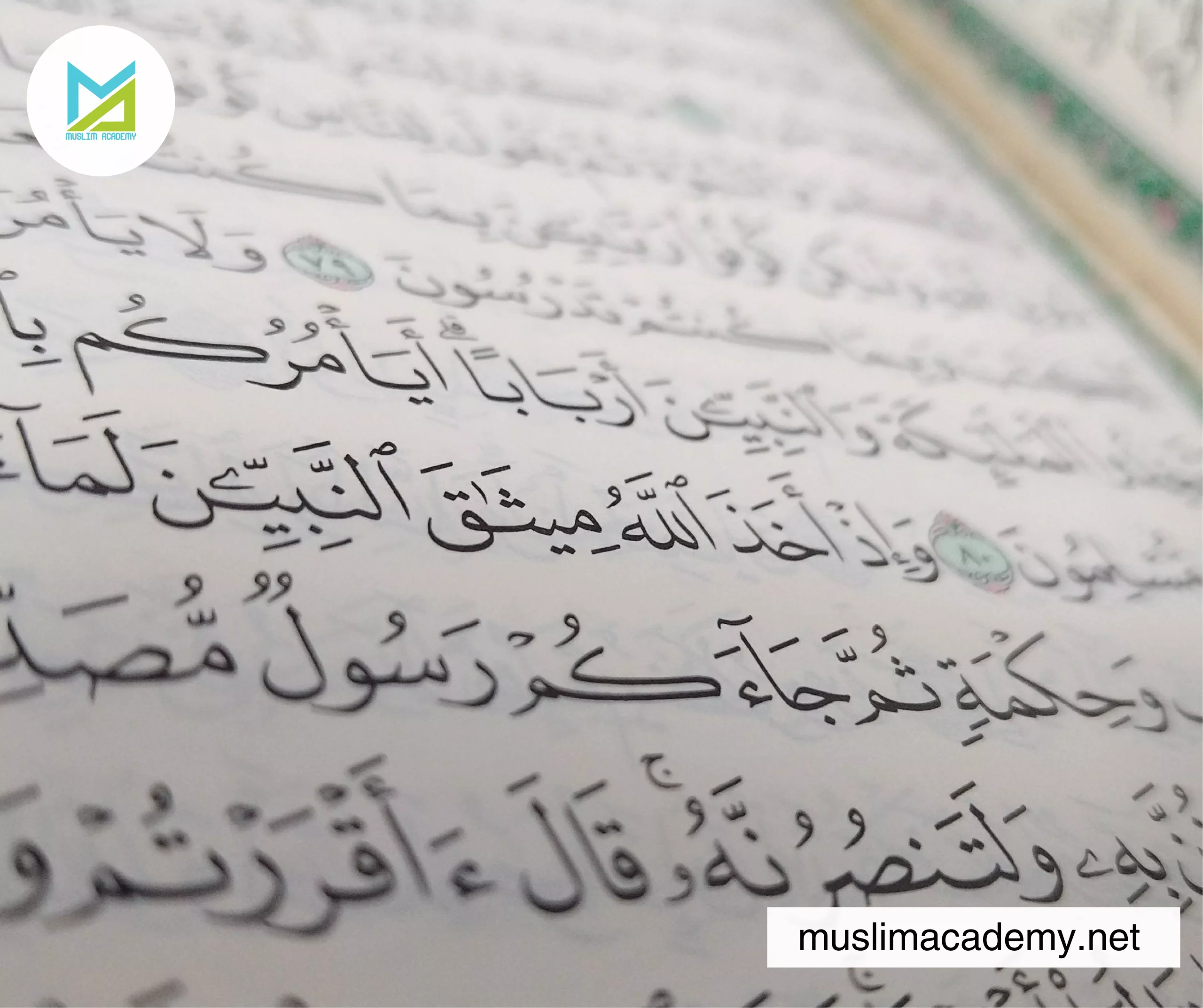 Learn Al Quran Online 2, Muslim Academy
