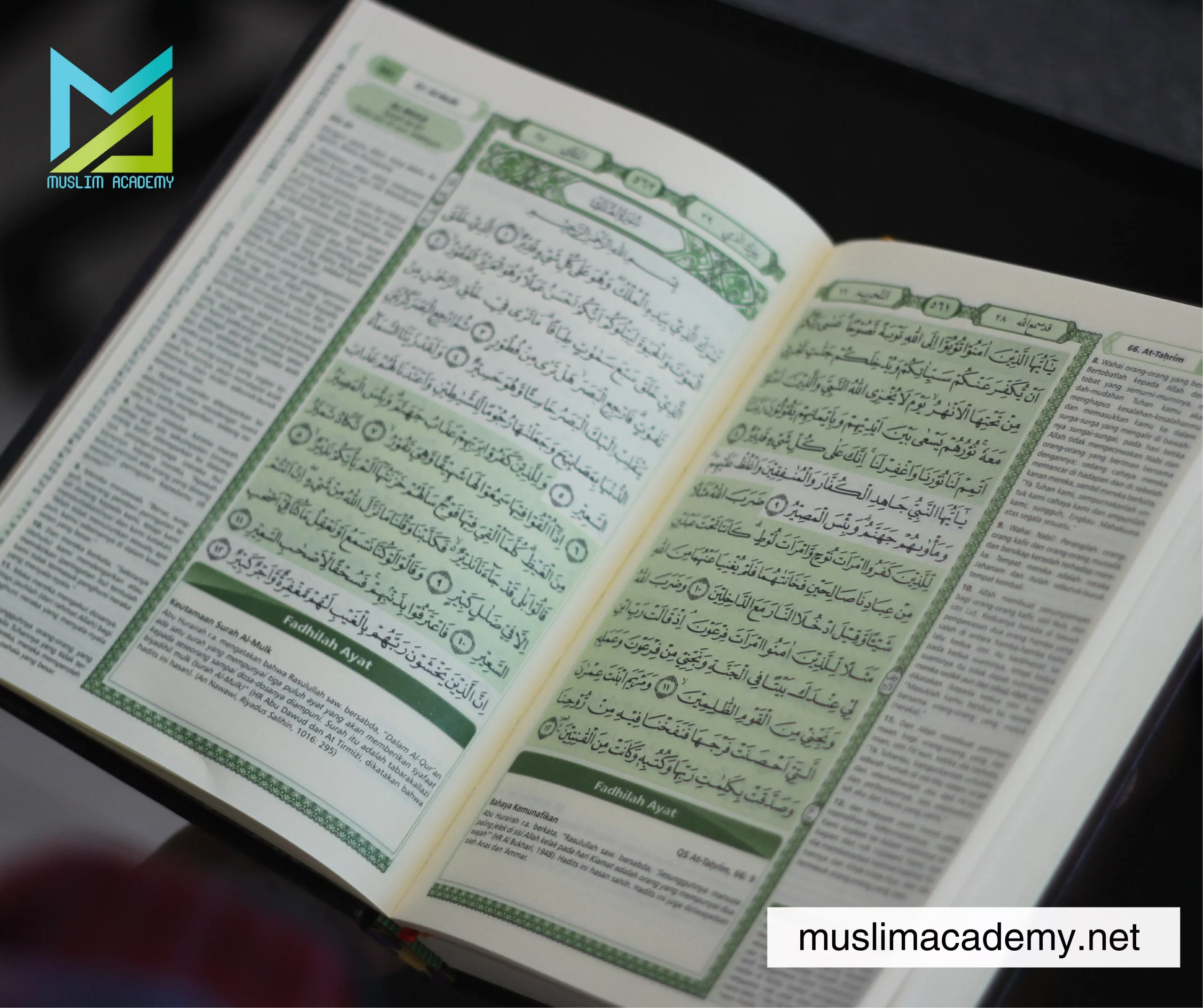 Memorize Quran Online 3, Muslim Academy