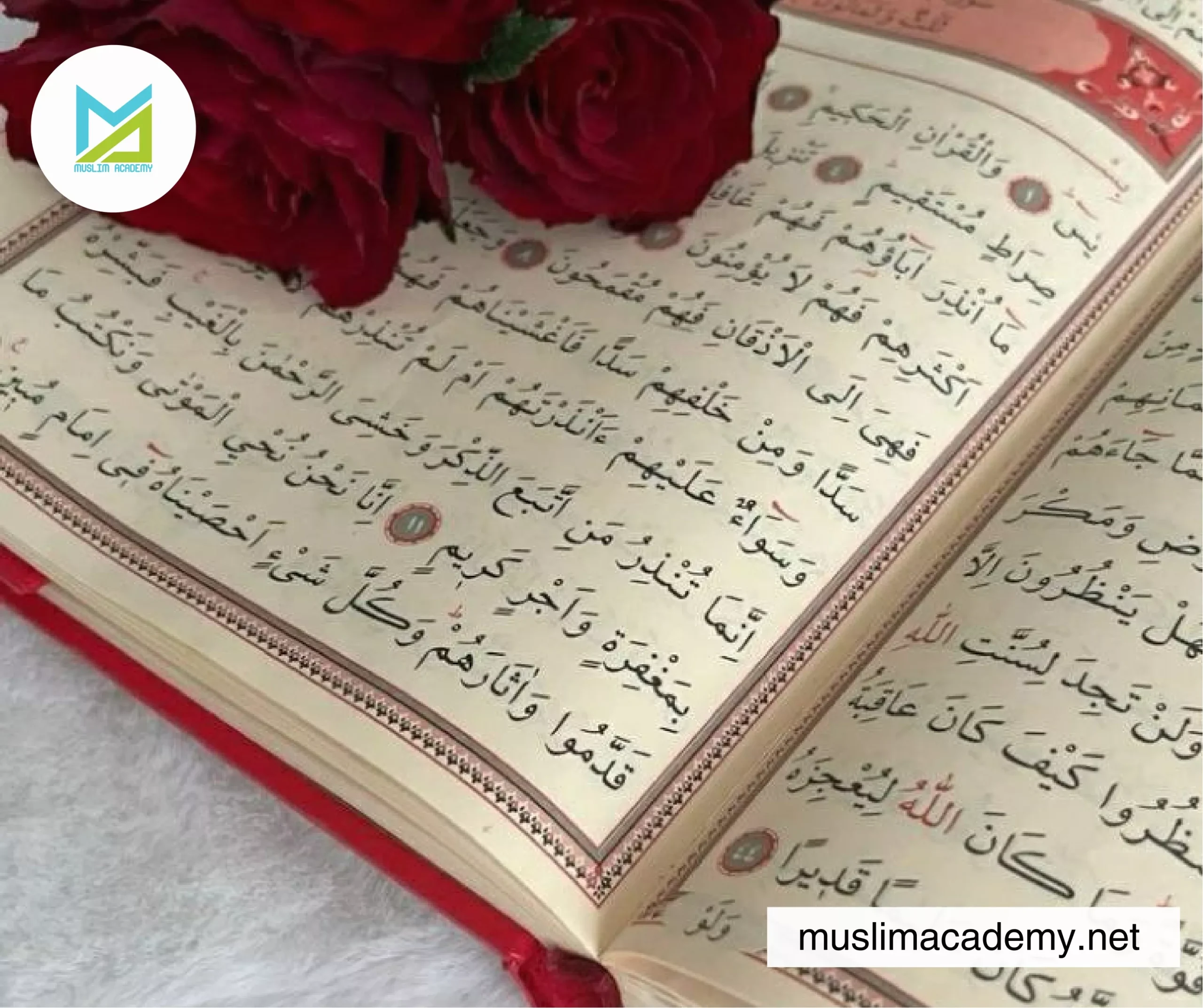 One To One Quran Teacher 3, Muslim Academy