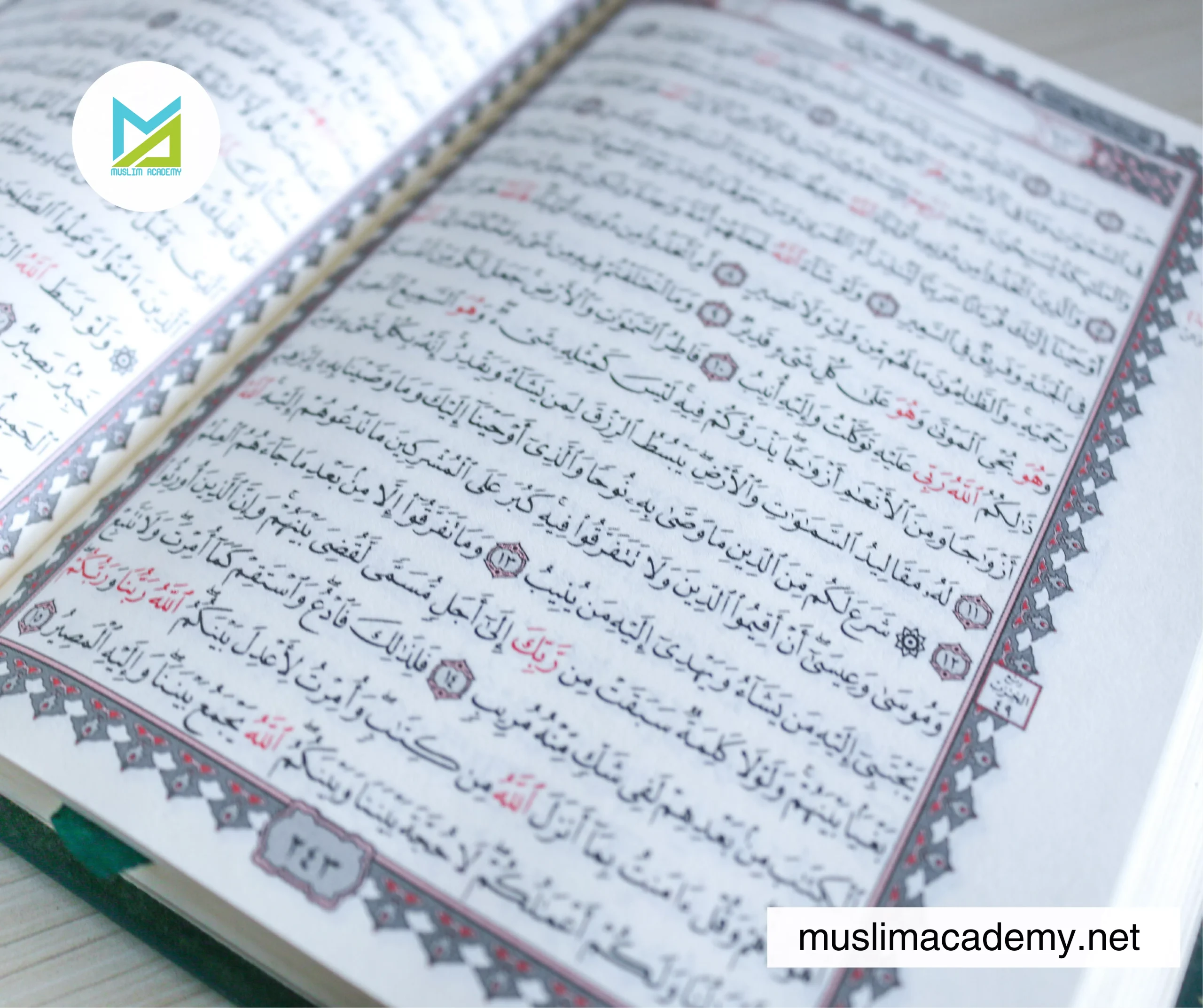 Online Learn Quran Academy 2, Muslim Academy