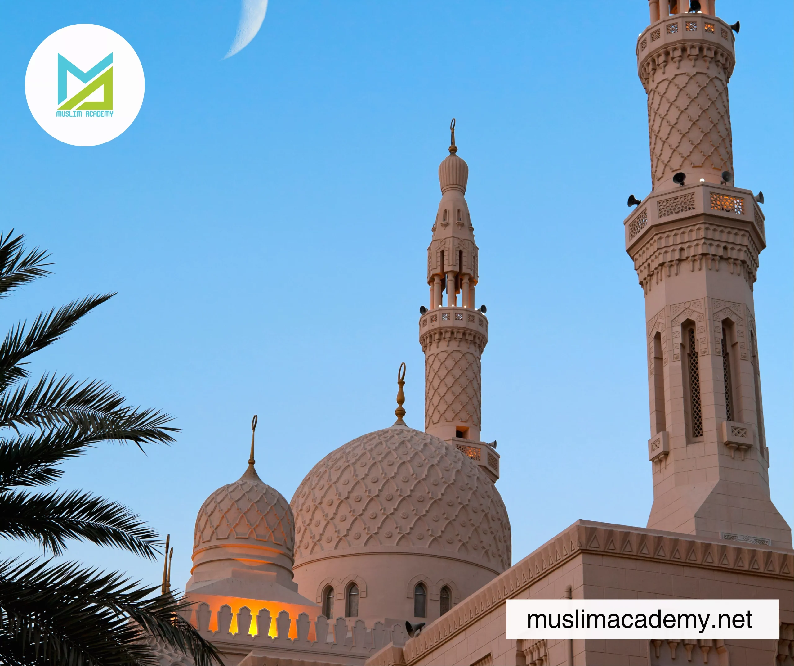 Online Quran Institute 3, Muslim Academy