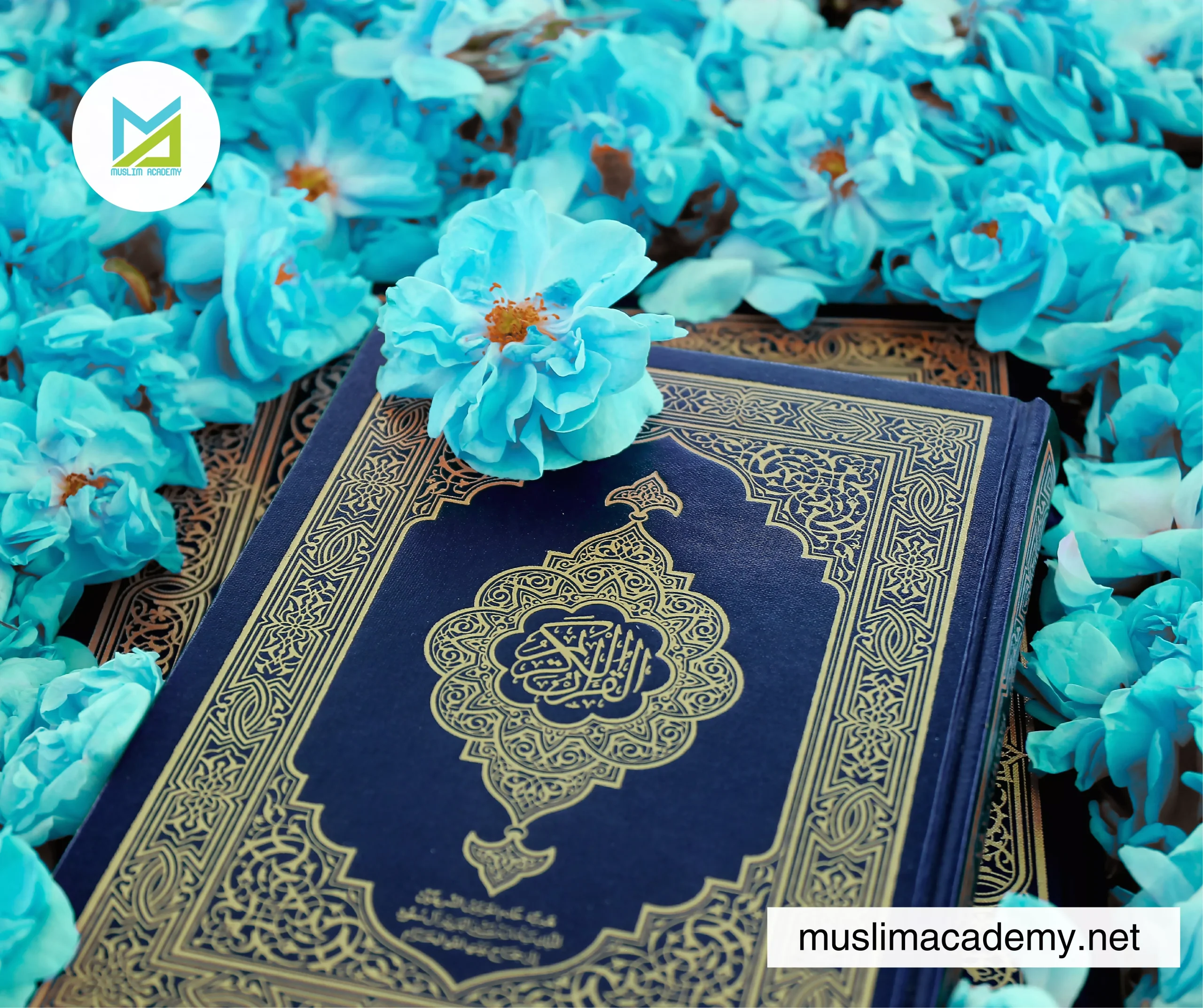 Online Quran Recitation Course 2, Muslim Academy