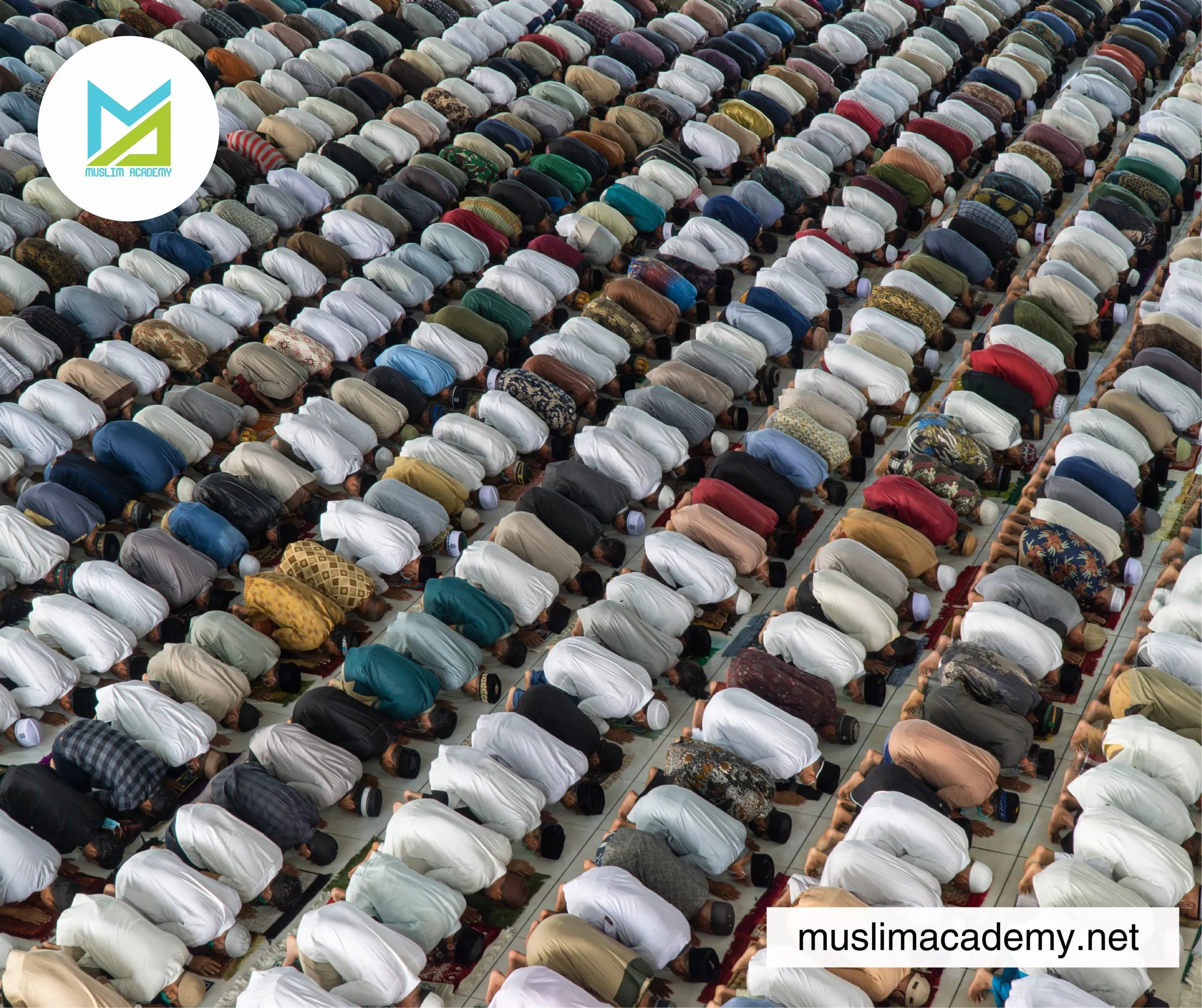 Online islamic Teacher 2, Muslim Academy