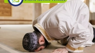 Online islamic Teacher, Muslim Academy