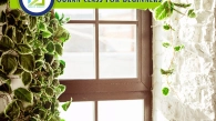 Quran Class For Beginners, Muslim Academy