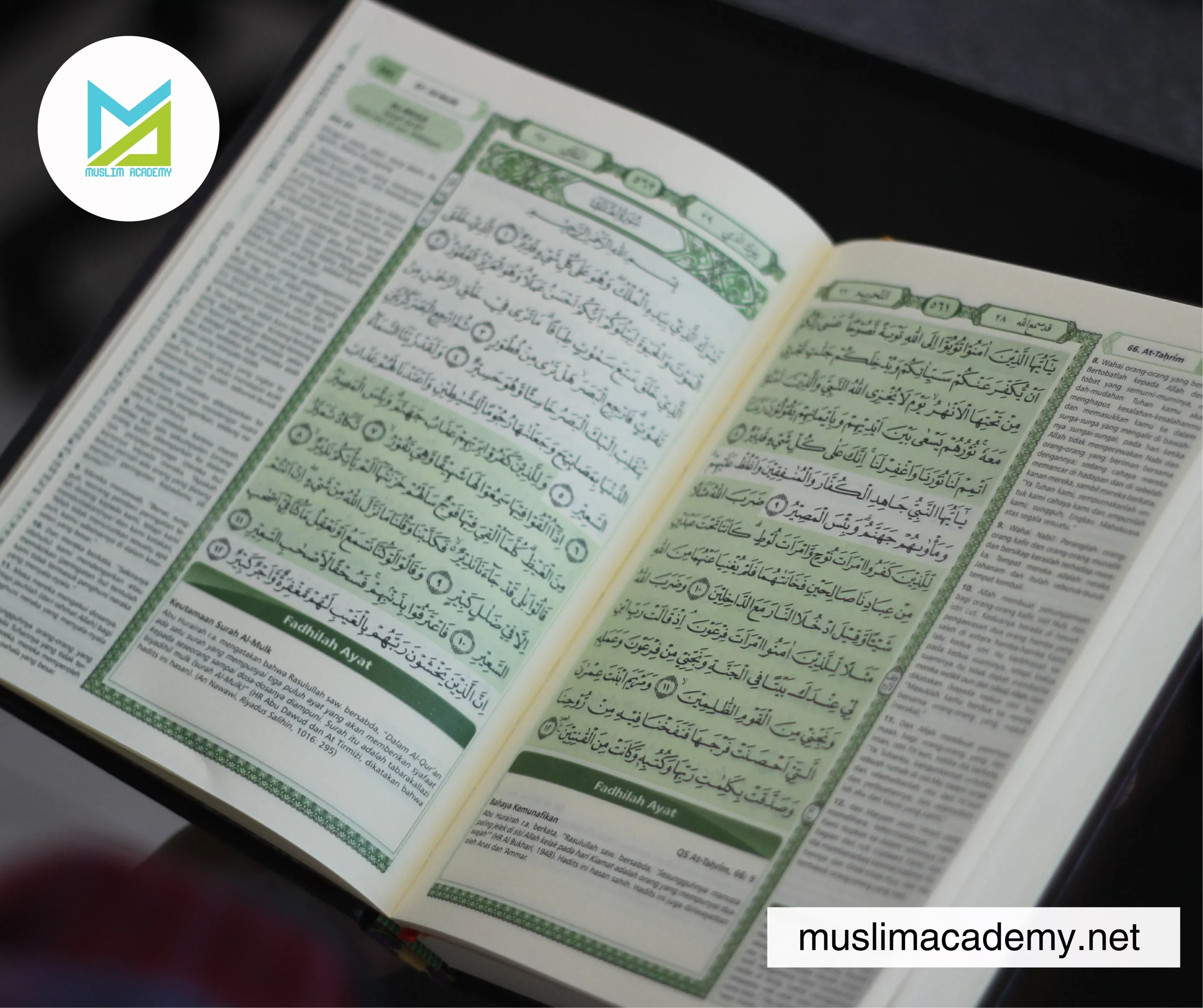 Quran Memorization Classes 3, Muslim Academy