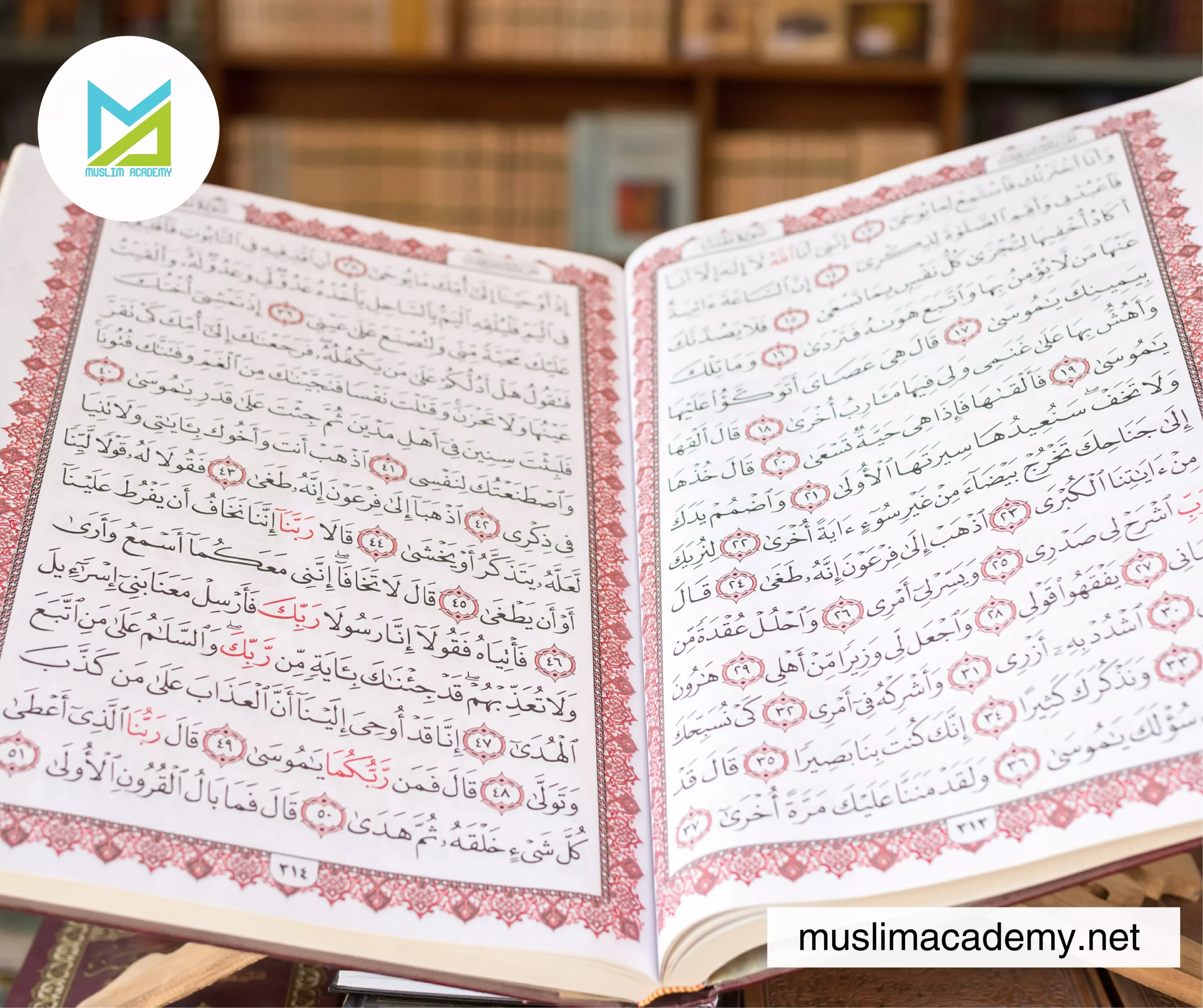 Quran Memorization Website 3, Muslim Academy