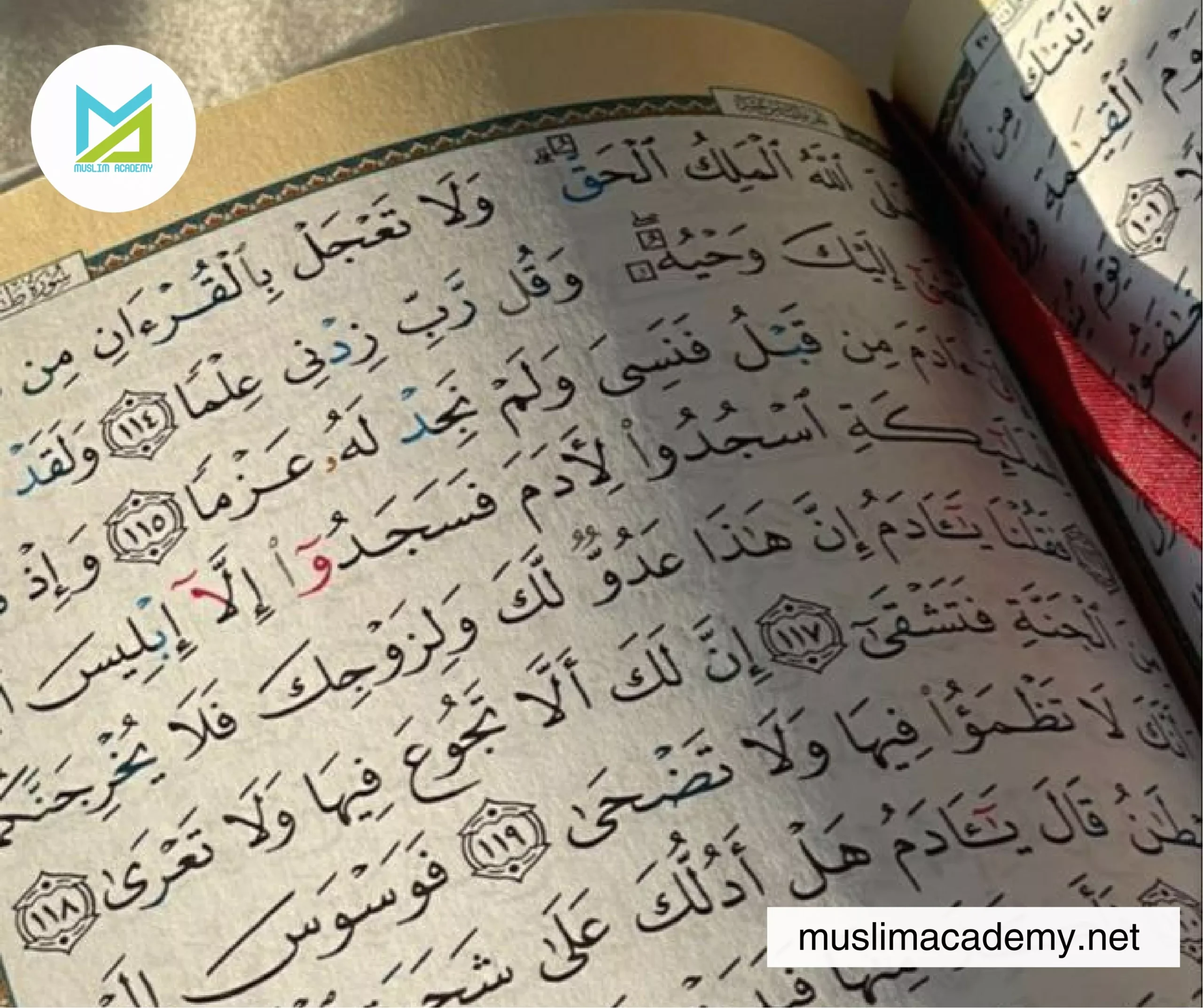 Quran Studies Online 3, Muslim Academy