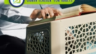 Quran Teacher For Adults, Muslim Academy
