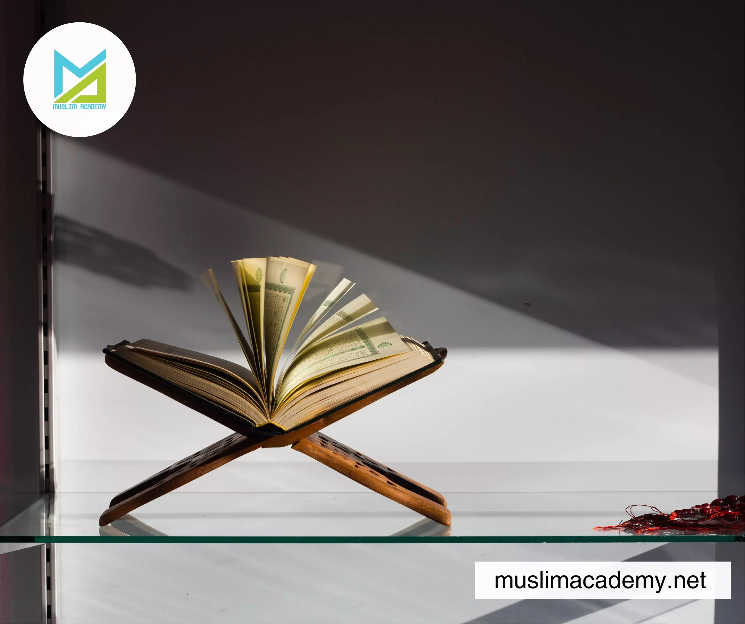 Quran Teachers From Egypt Online 2, Muslim Academy