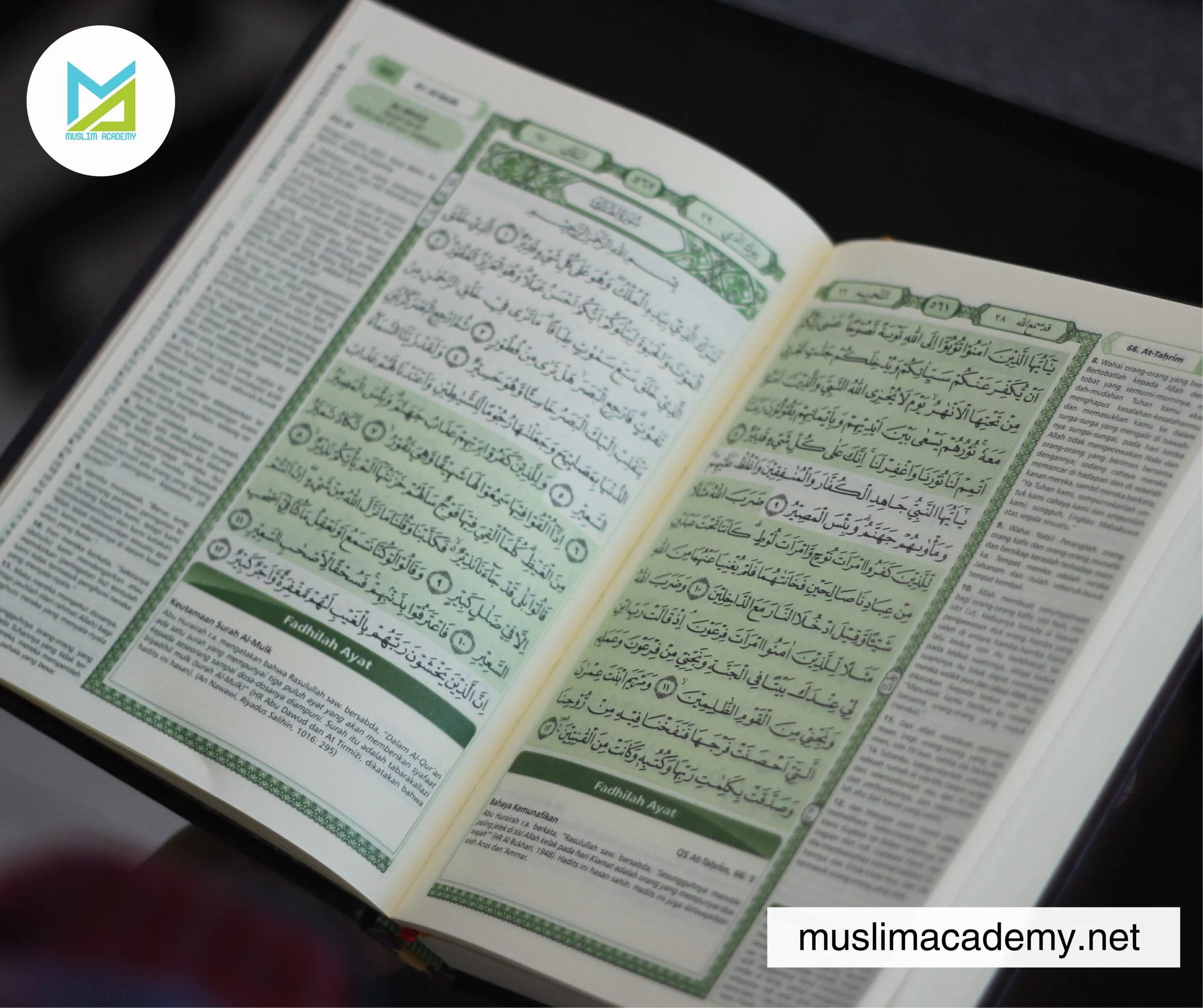 Quran Tutorials Online 3, Muslim Academy