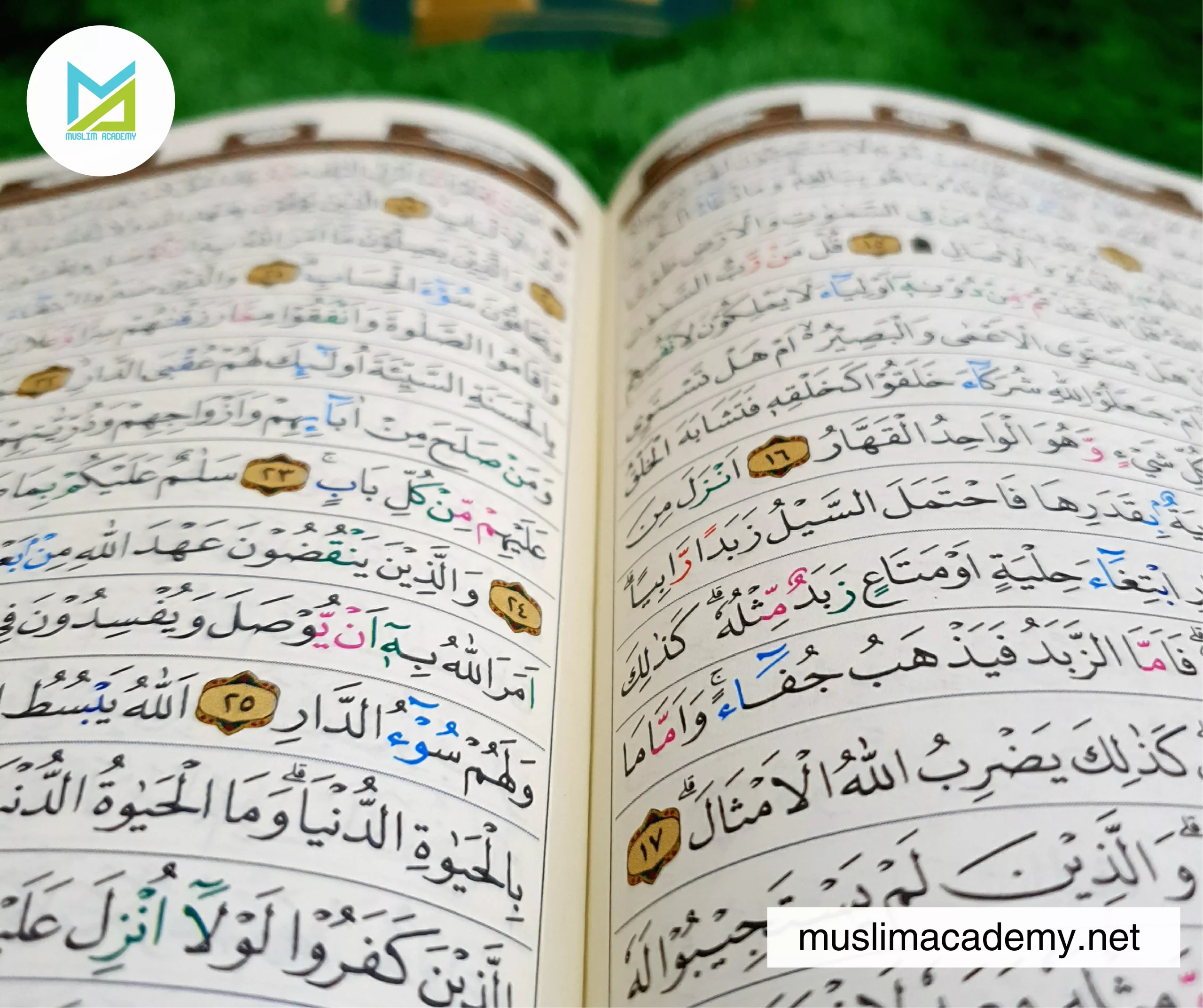 Word By Word Quran Teacher 2, Muslim Academy