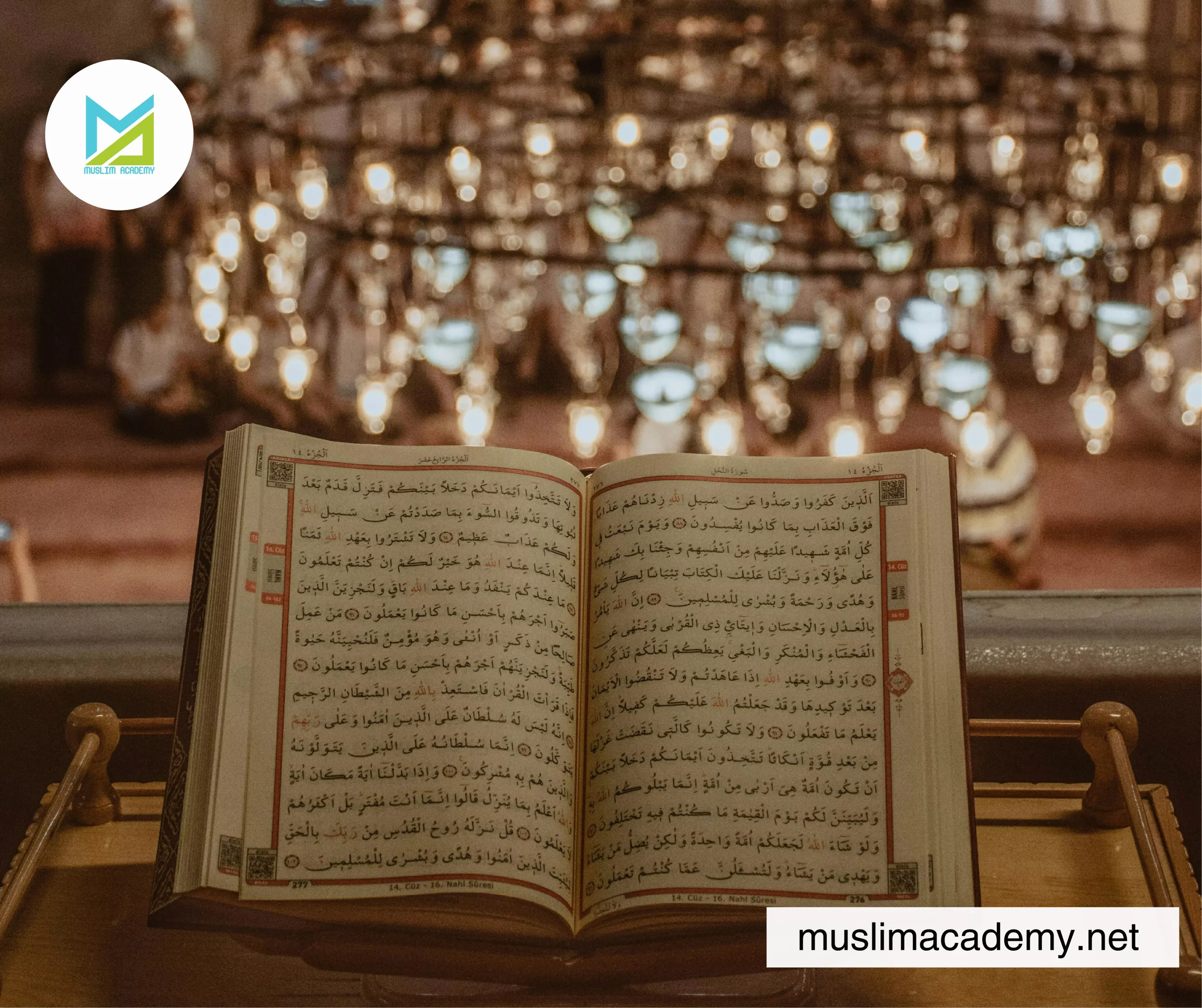 Best Website For Learning Quran 3, Muslim Academy