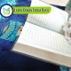 Learn Quran From Basic, Muslim Academy