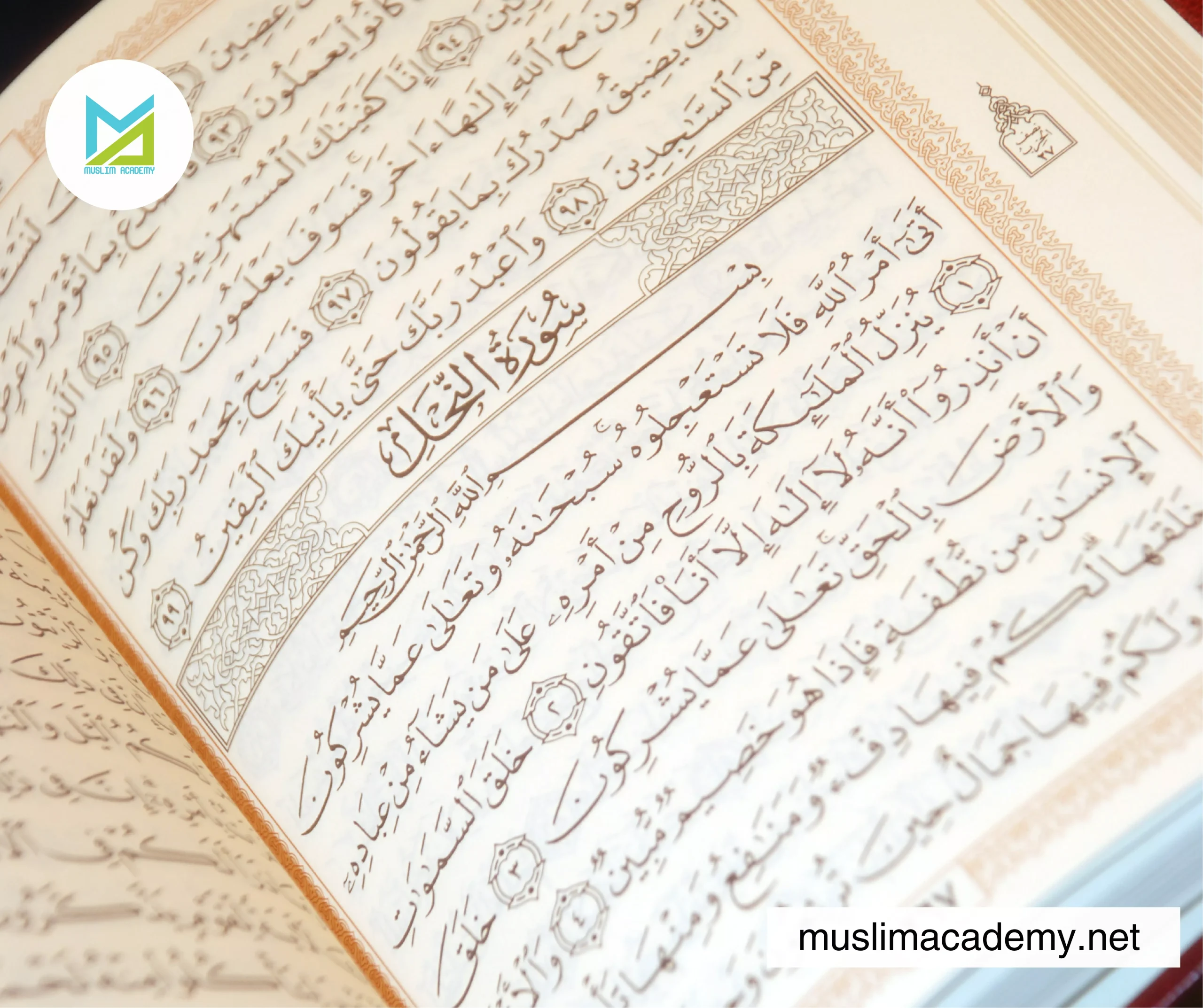 Learning Quran Academy 2, Muslim Academy