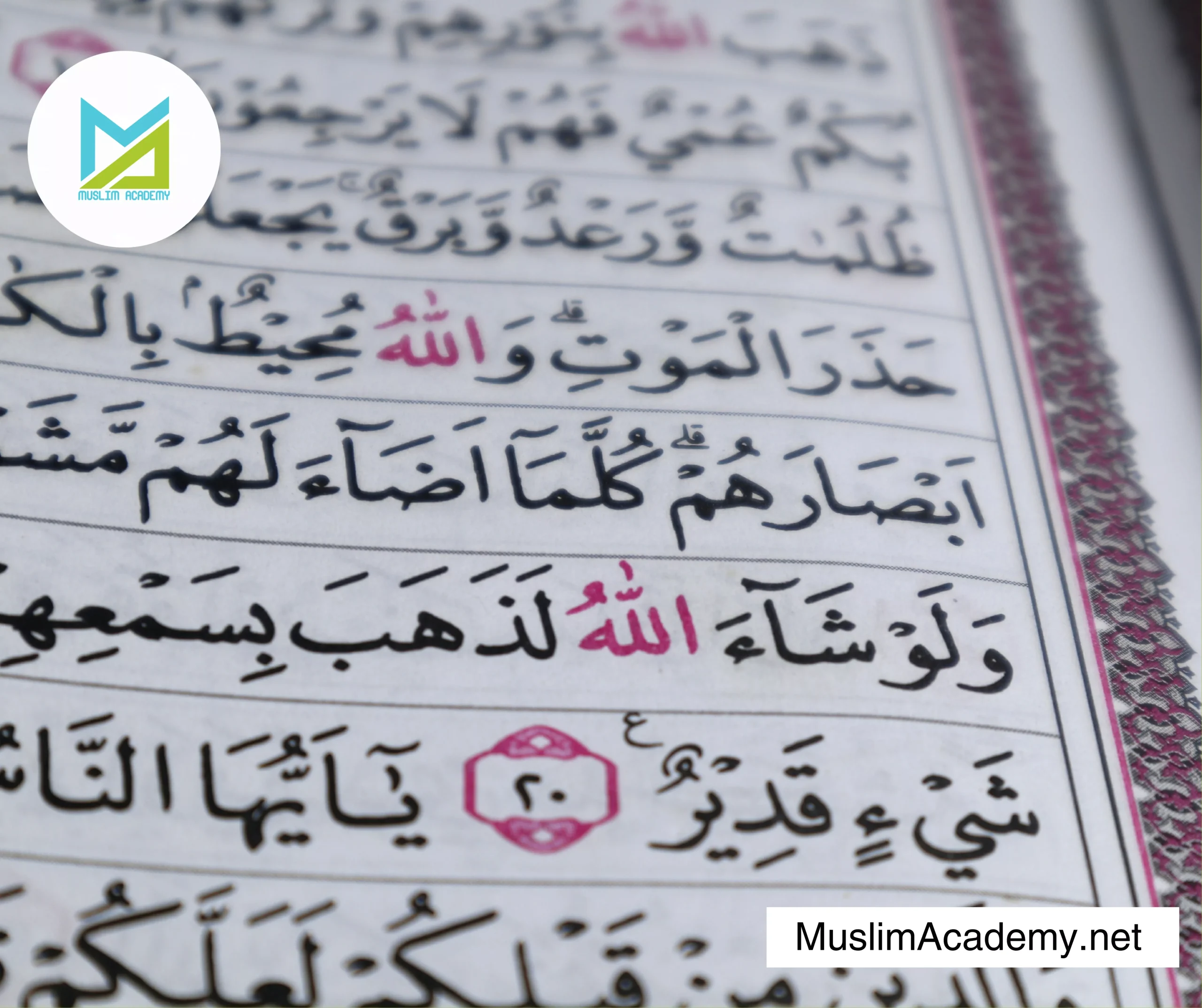 Arabic Teacher Online 3, Muslim Academy