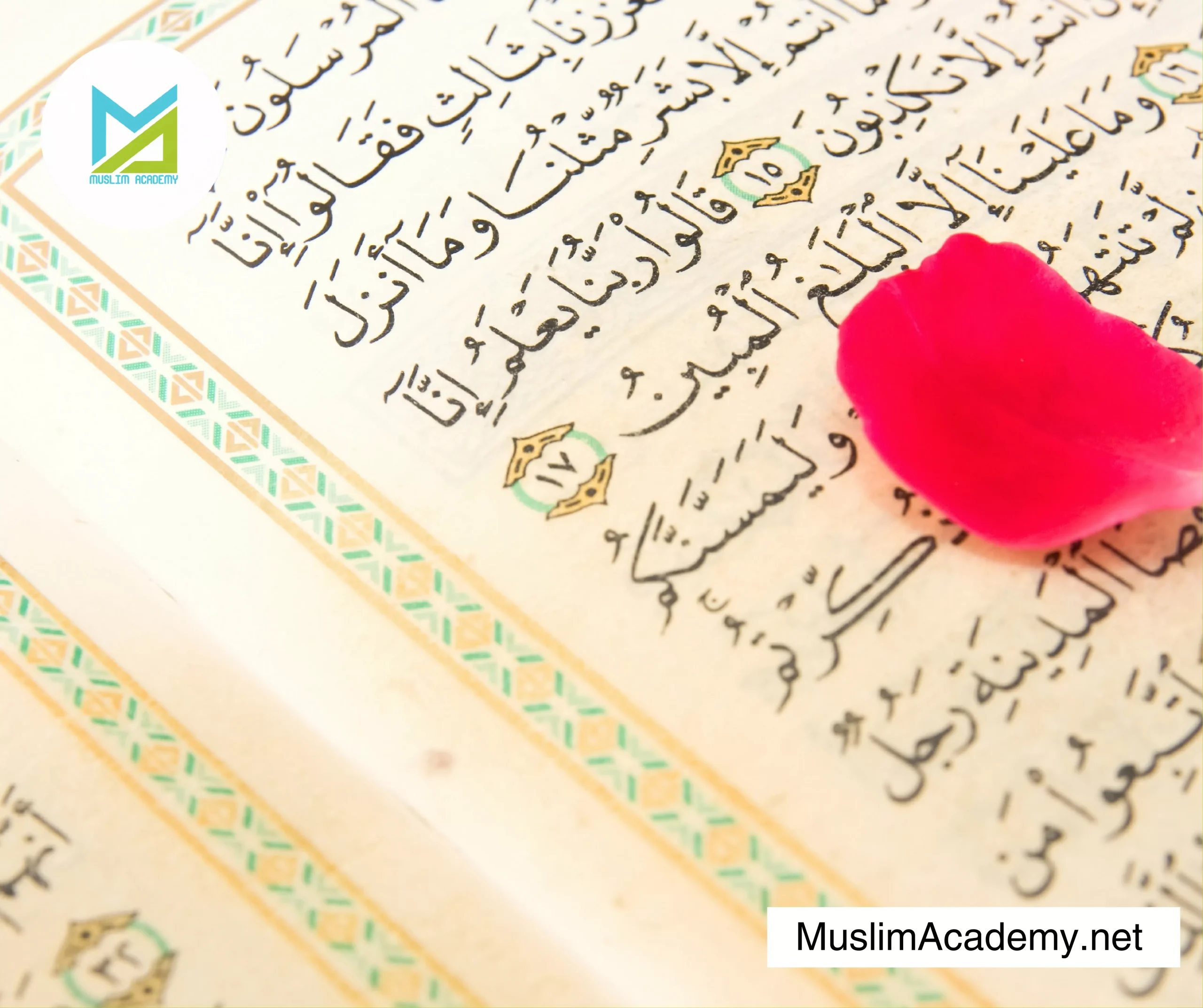 Online Hifz Course 2, Muslim Academy