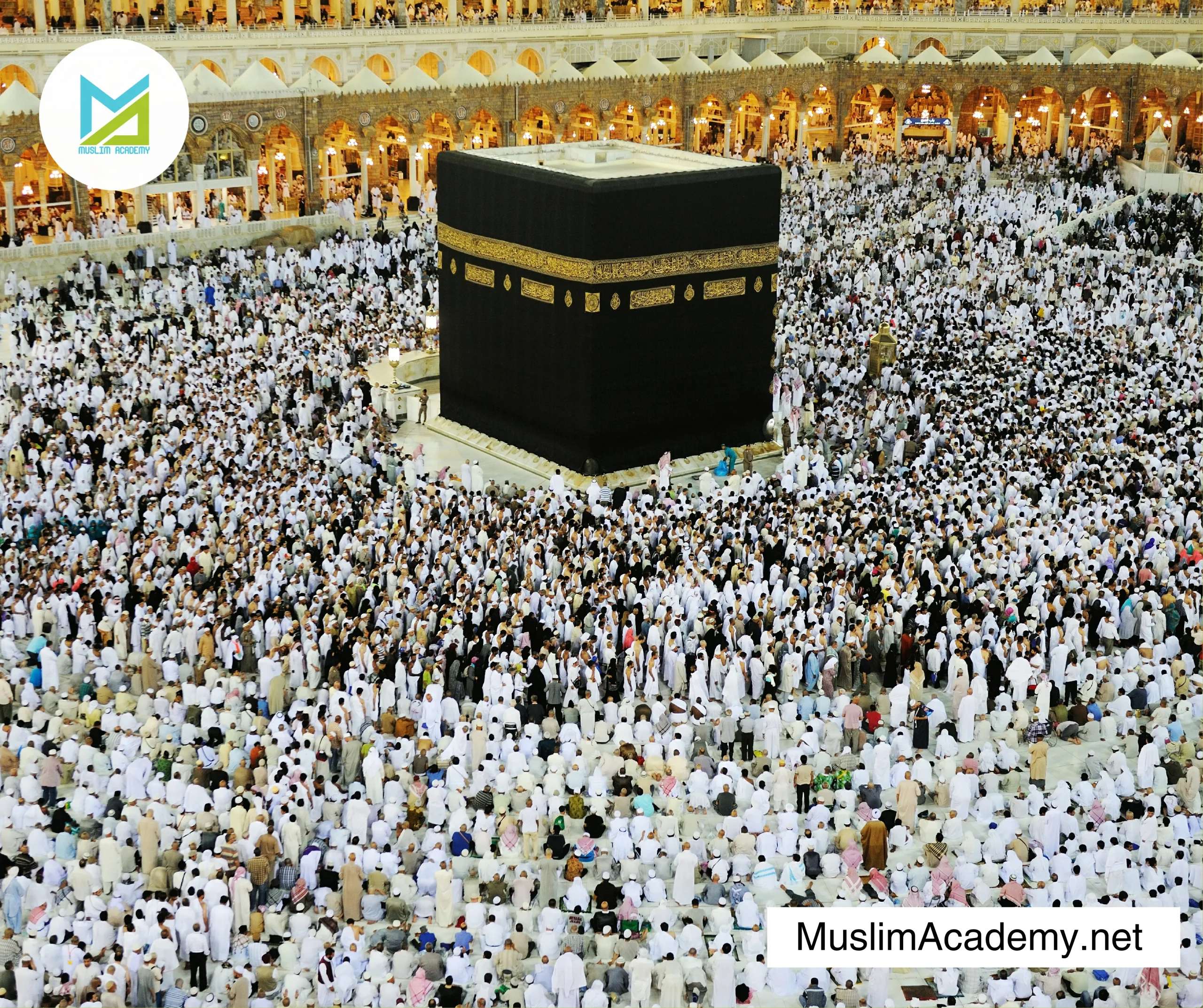 Islamic Studies Courses 2, Muslim Academy