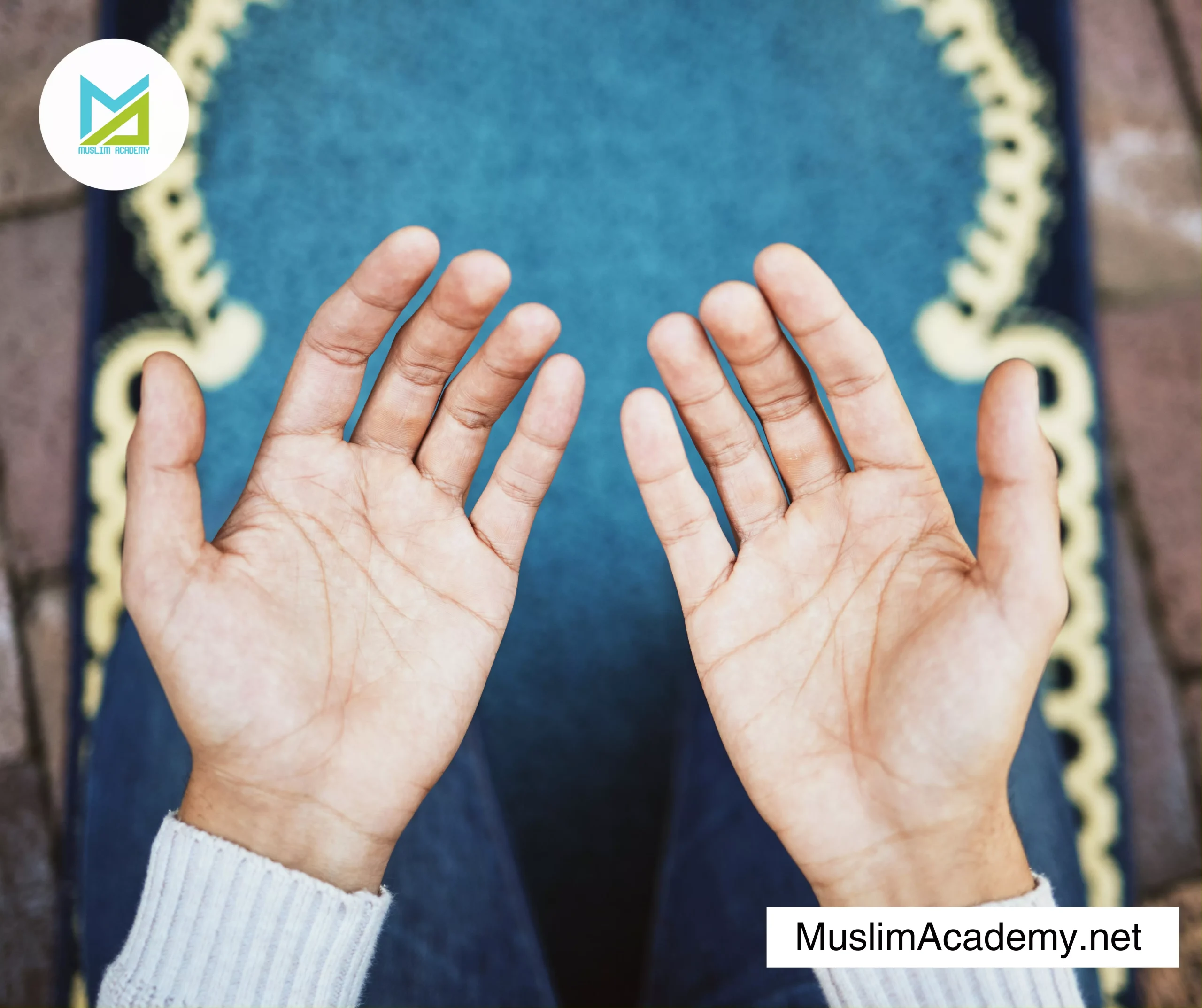 Islamic Studies Programs 3, Muslim Academy