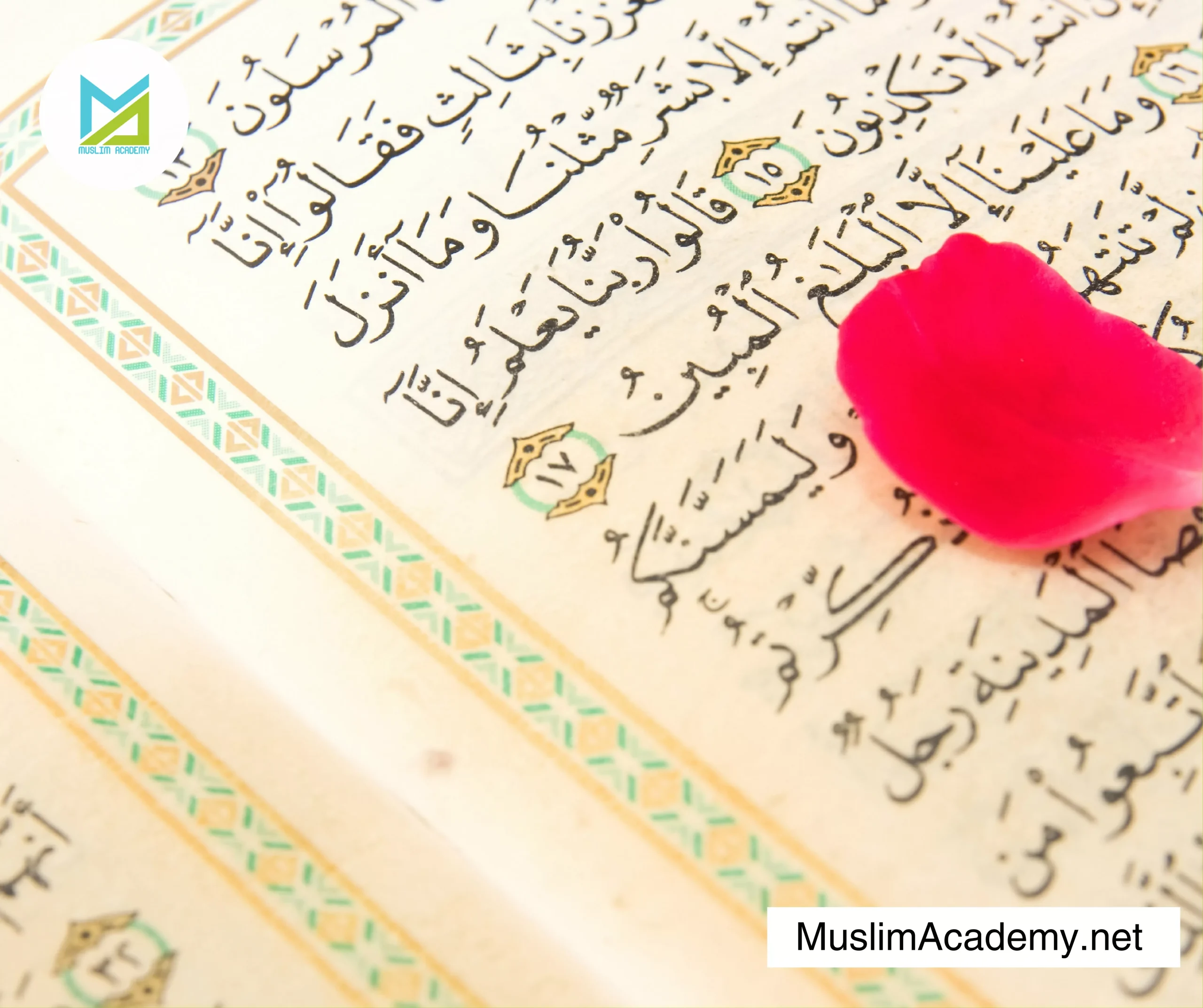 Learn Quran Academy 3, Muslim Academy