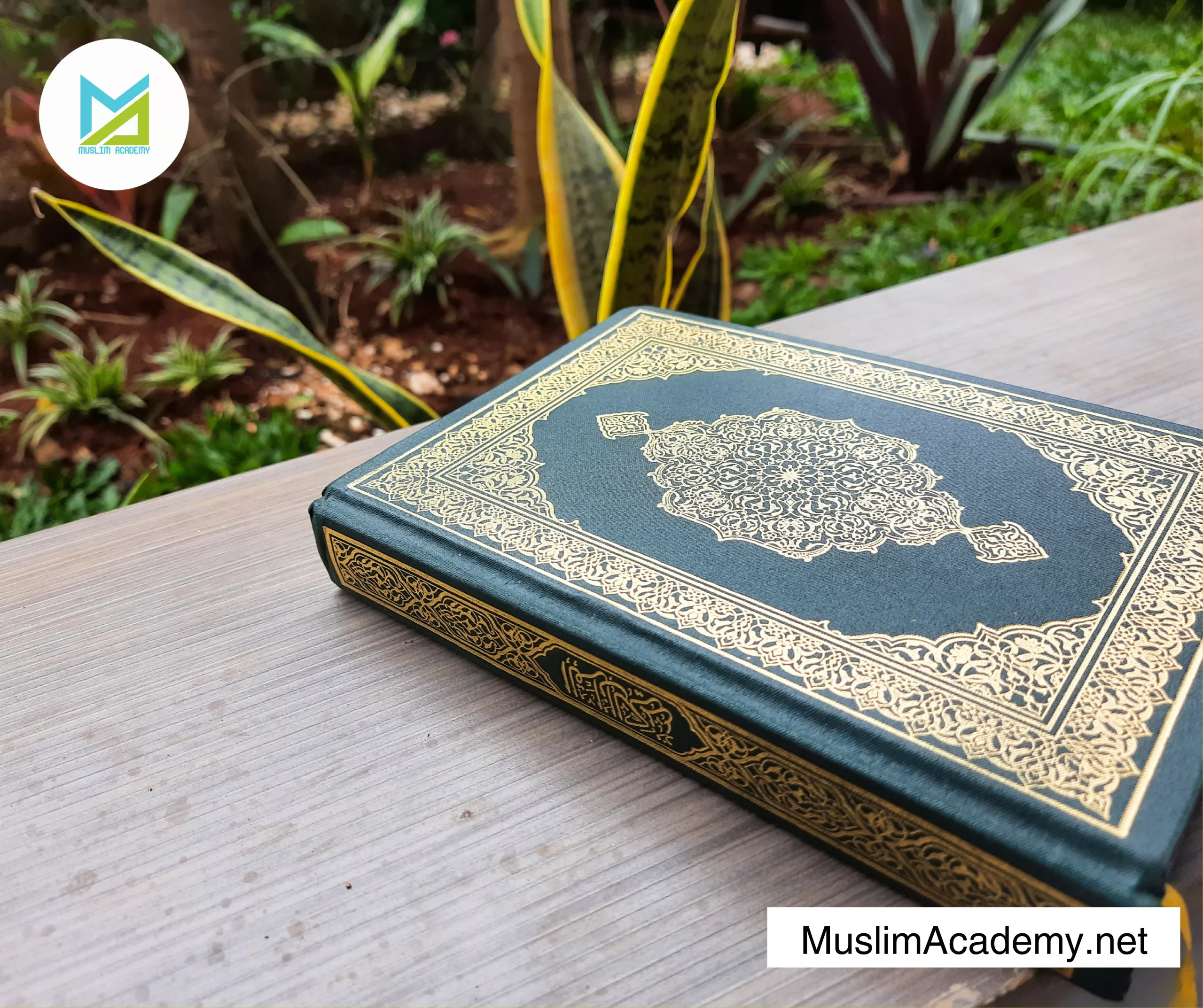 Quran Education 2, Muslim Academy