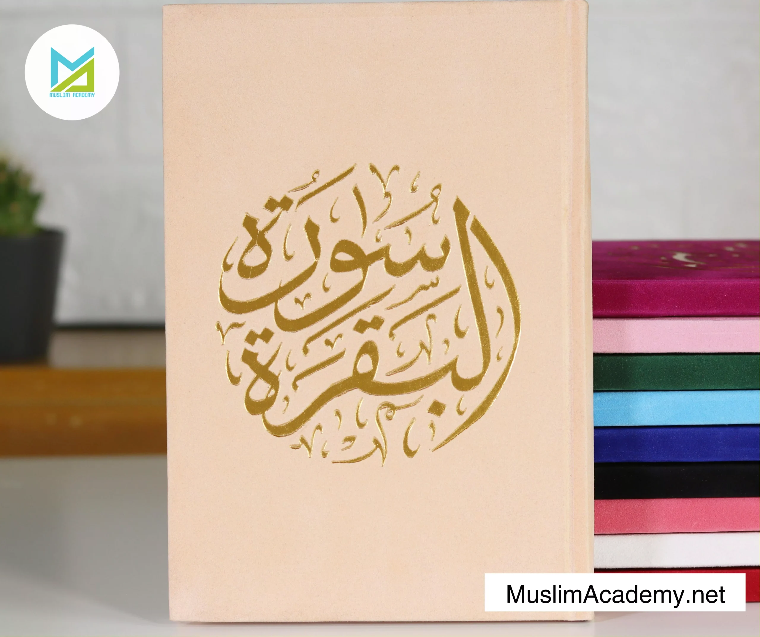 Quran Memorisation 3, Muslim Academy