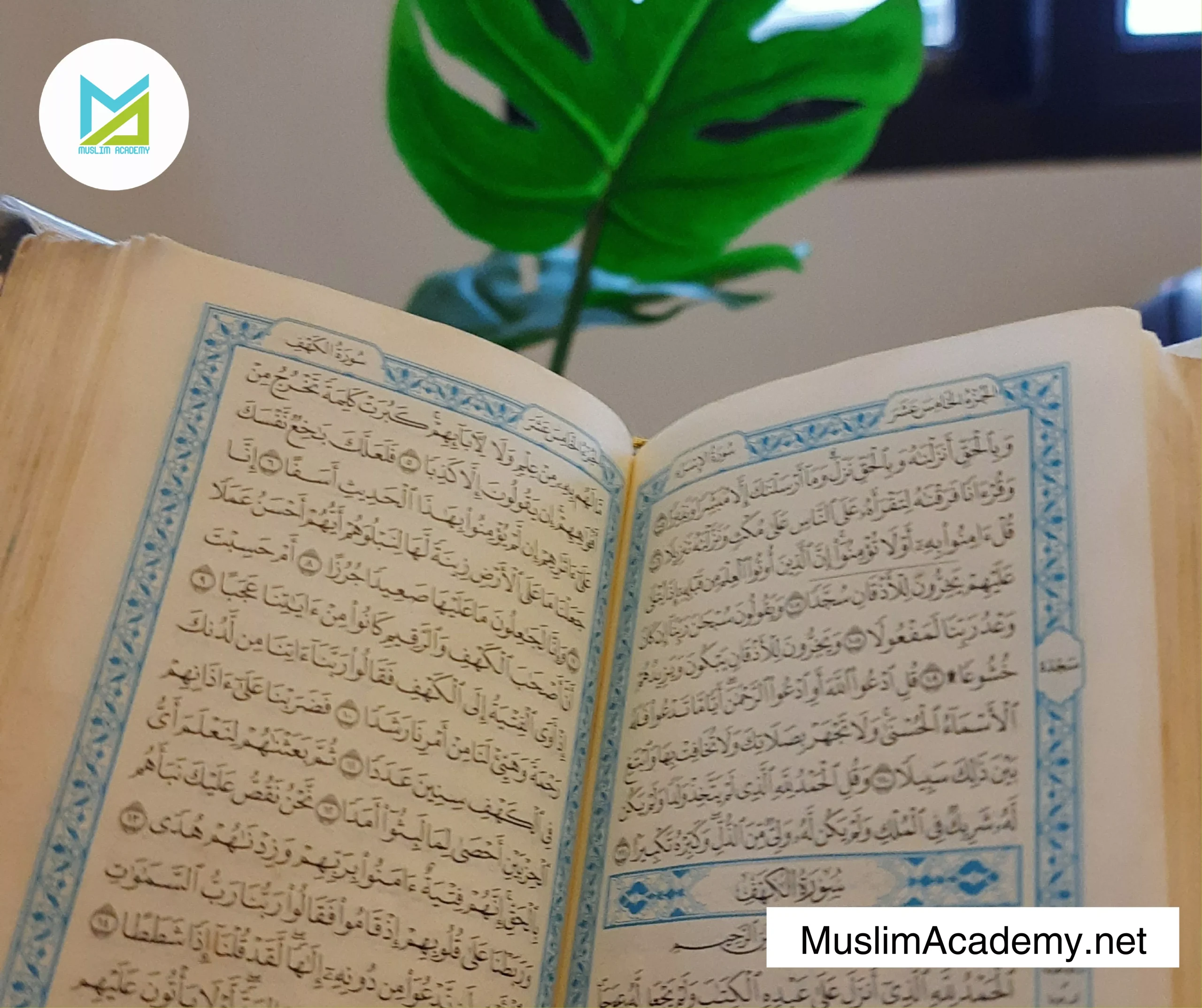 Quran Reading Arabic 3, Muslim Academy