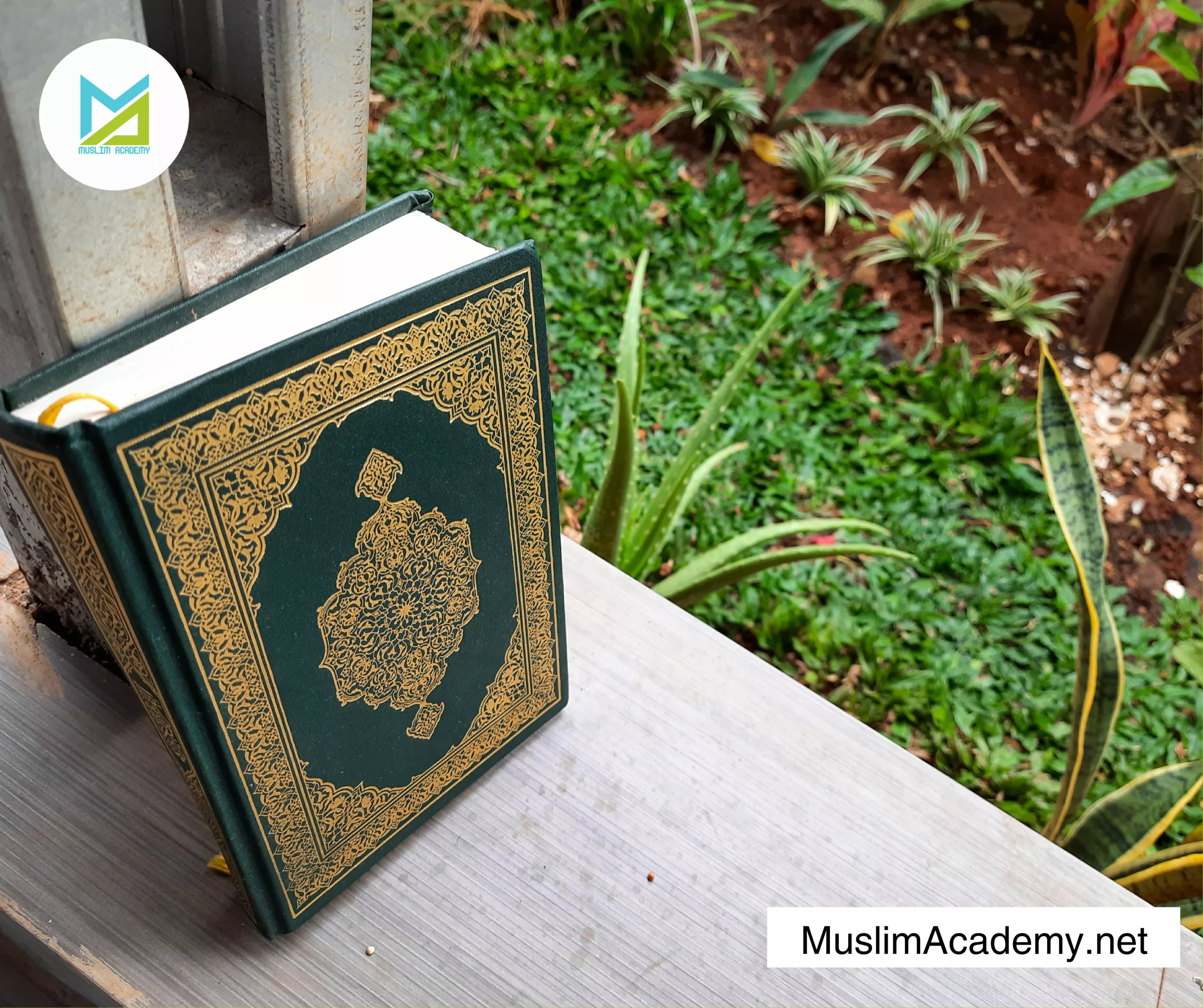 Quran Yaseen 2, Muslim Academy