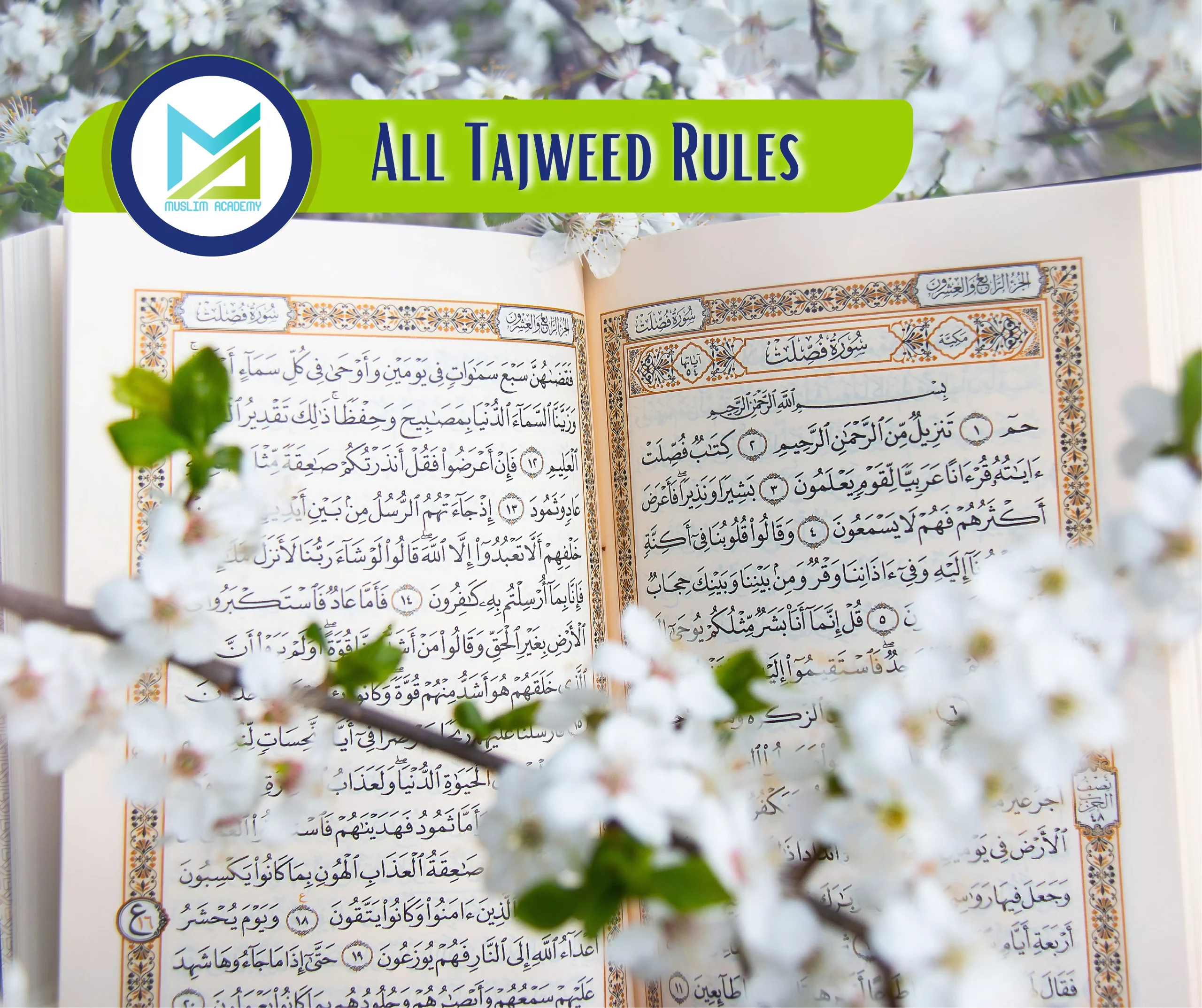 All Tajweed Rules, Muslim Academy