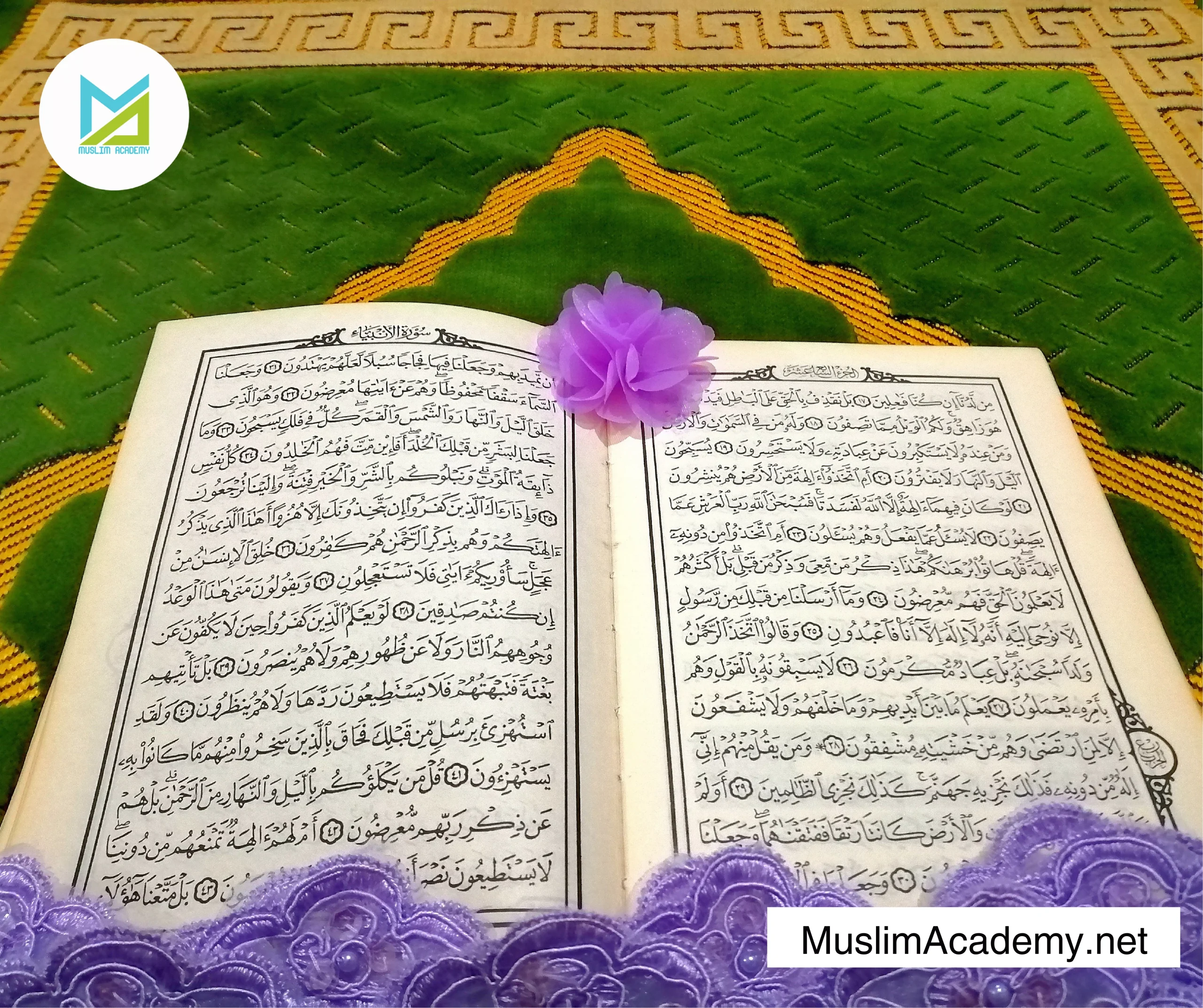 Amazing Facts About Quran 3, Muslim Academy