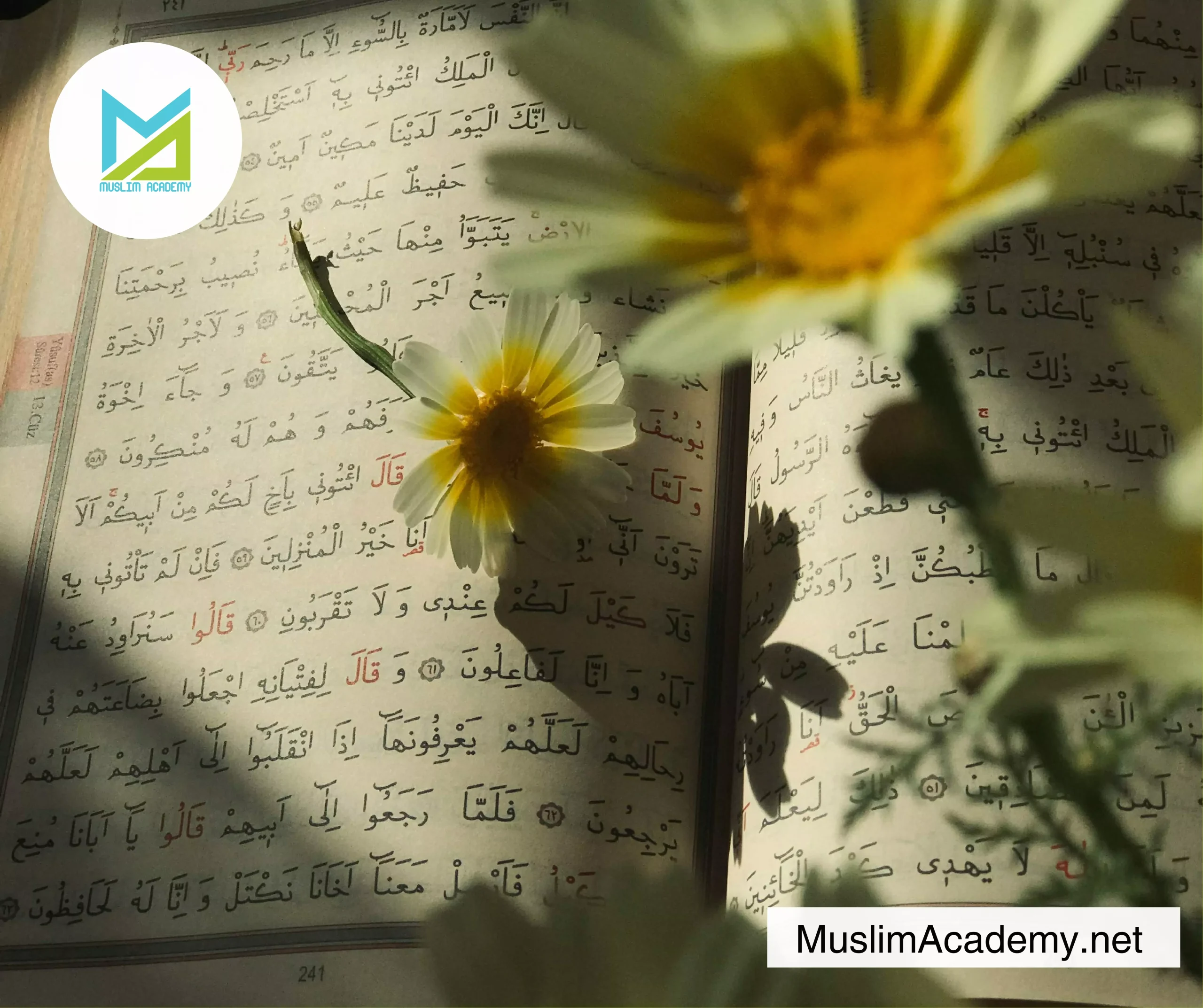 Arabic Tajweed 2, Muslim Academy