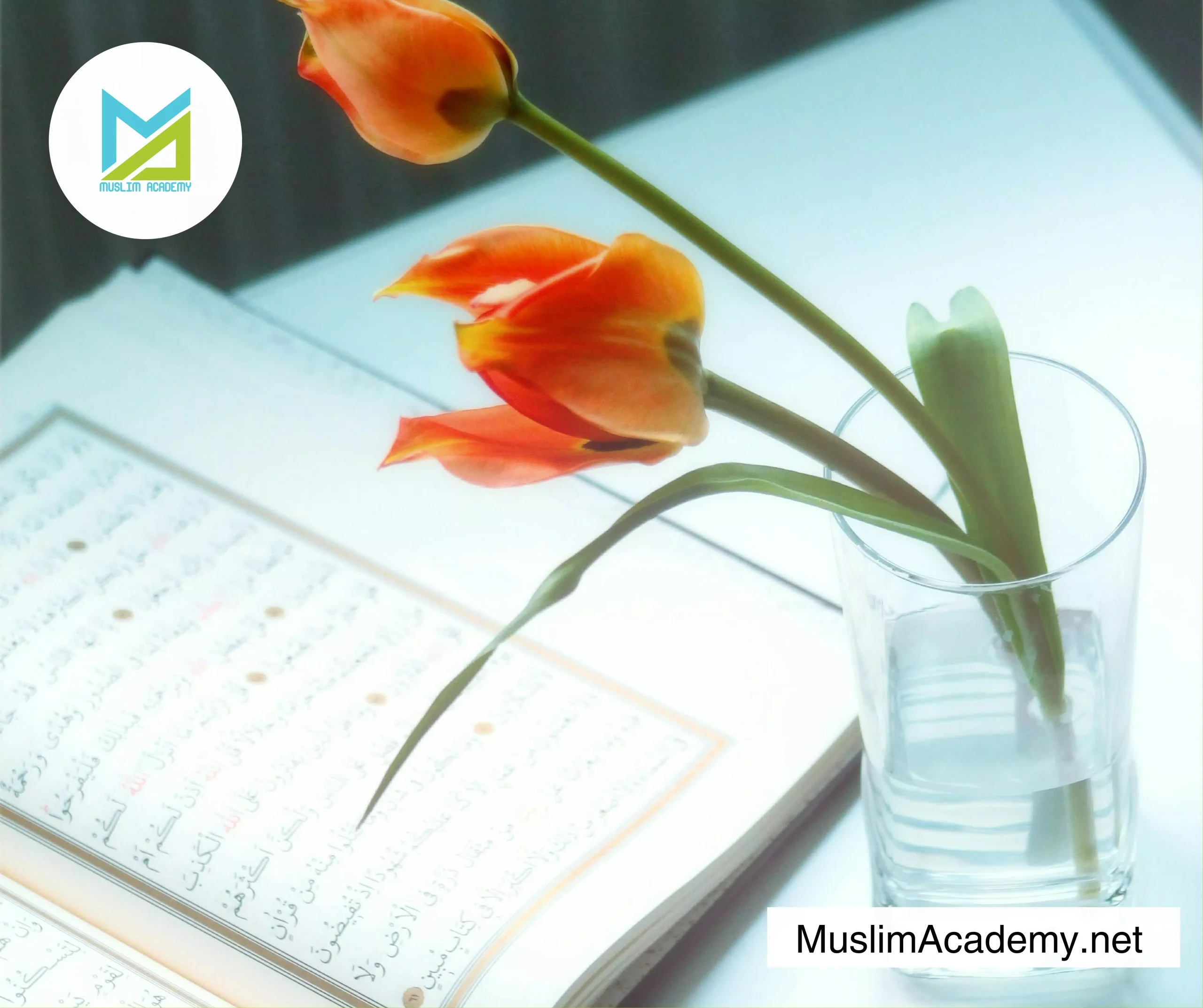 Benefits Of Memorising Quran 3, Muslim Academy