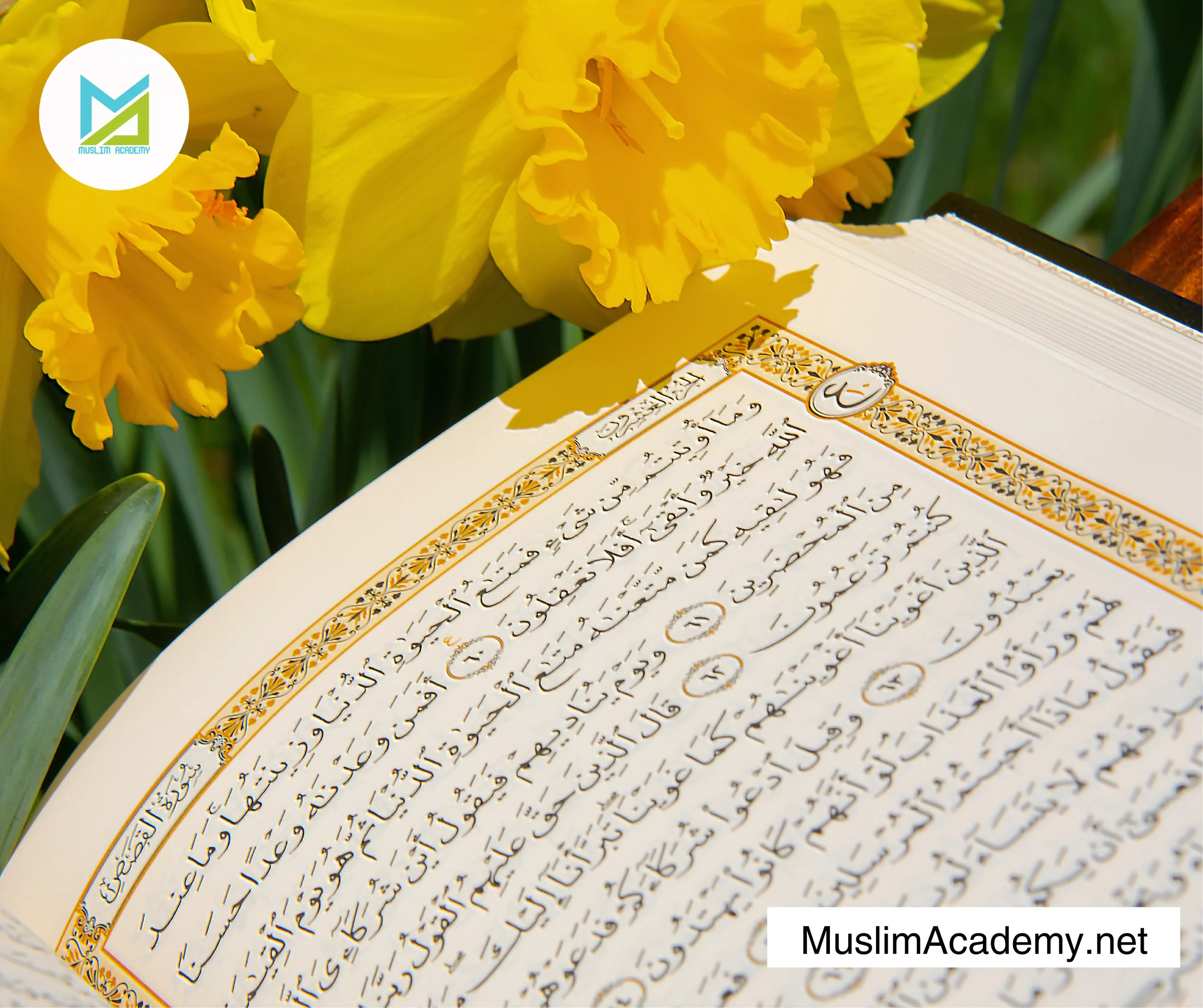 Best App To Memorize Quran 3, Muslim Academy
