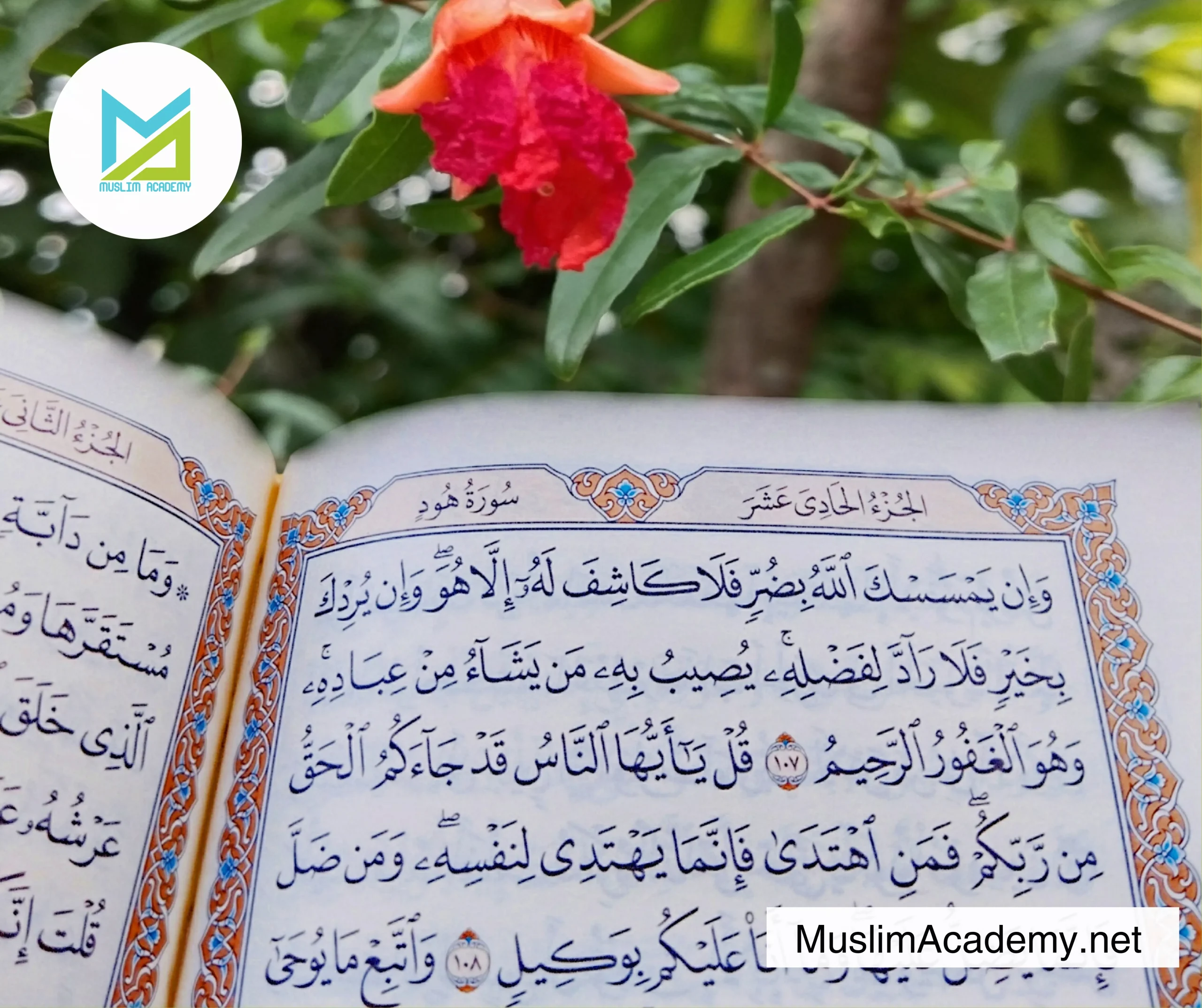 Course Arabic 3, Muslim Academy