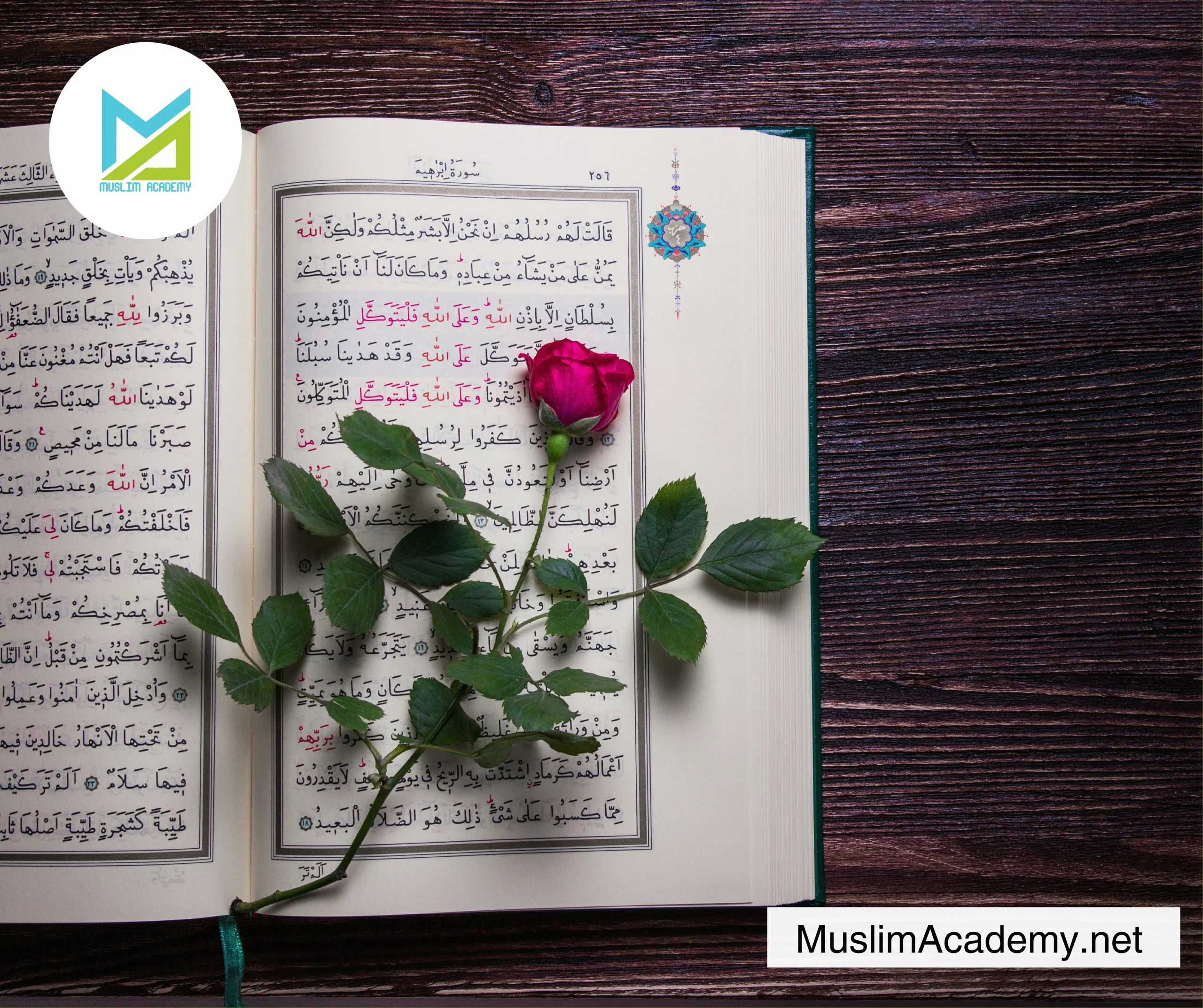 Define Tajweed 3, Muslim Academy