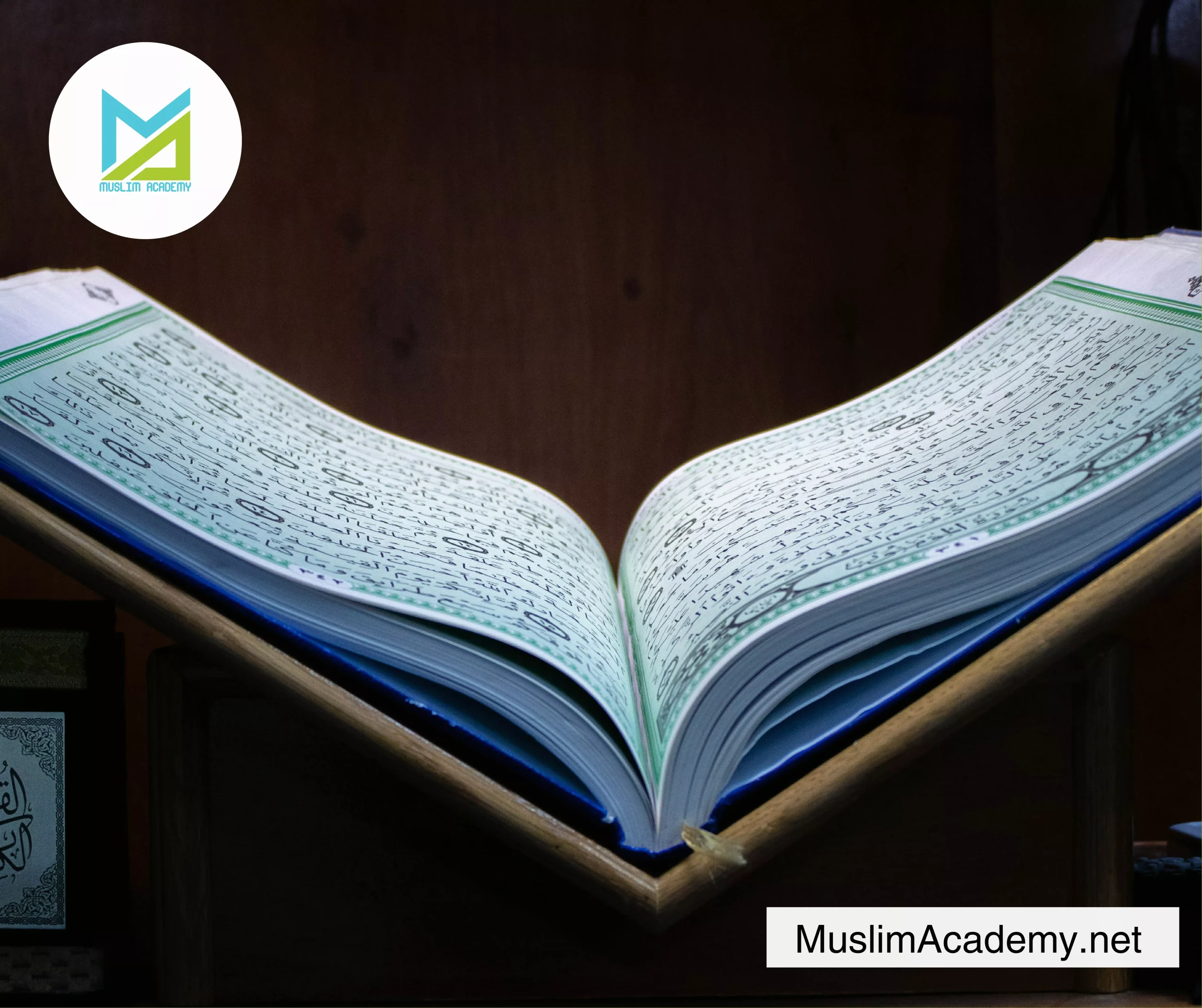 English Surah Yaseen 3, Muslim Academy