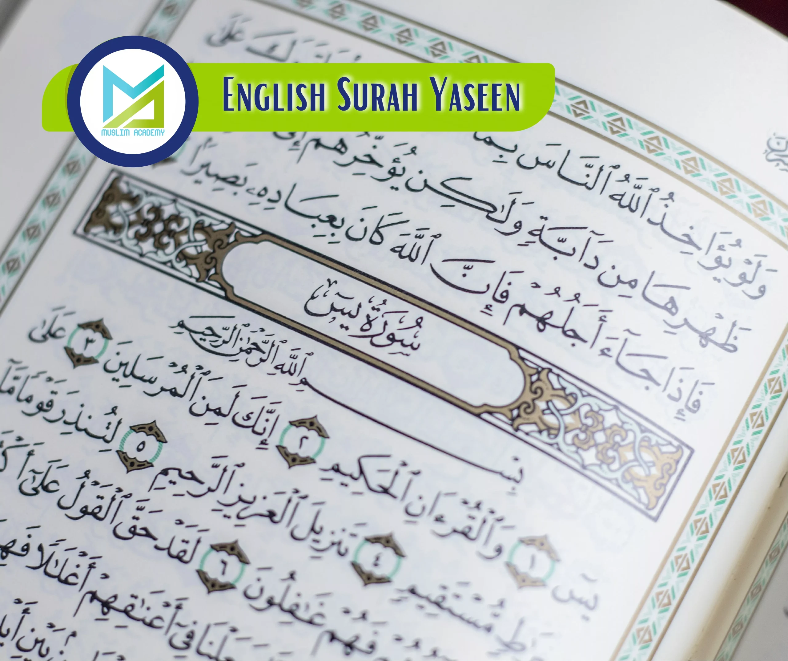 English Surah Yaseen, Muslim Academy