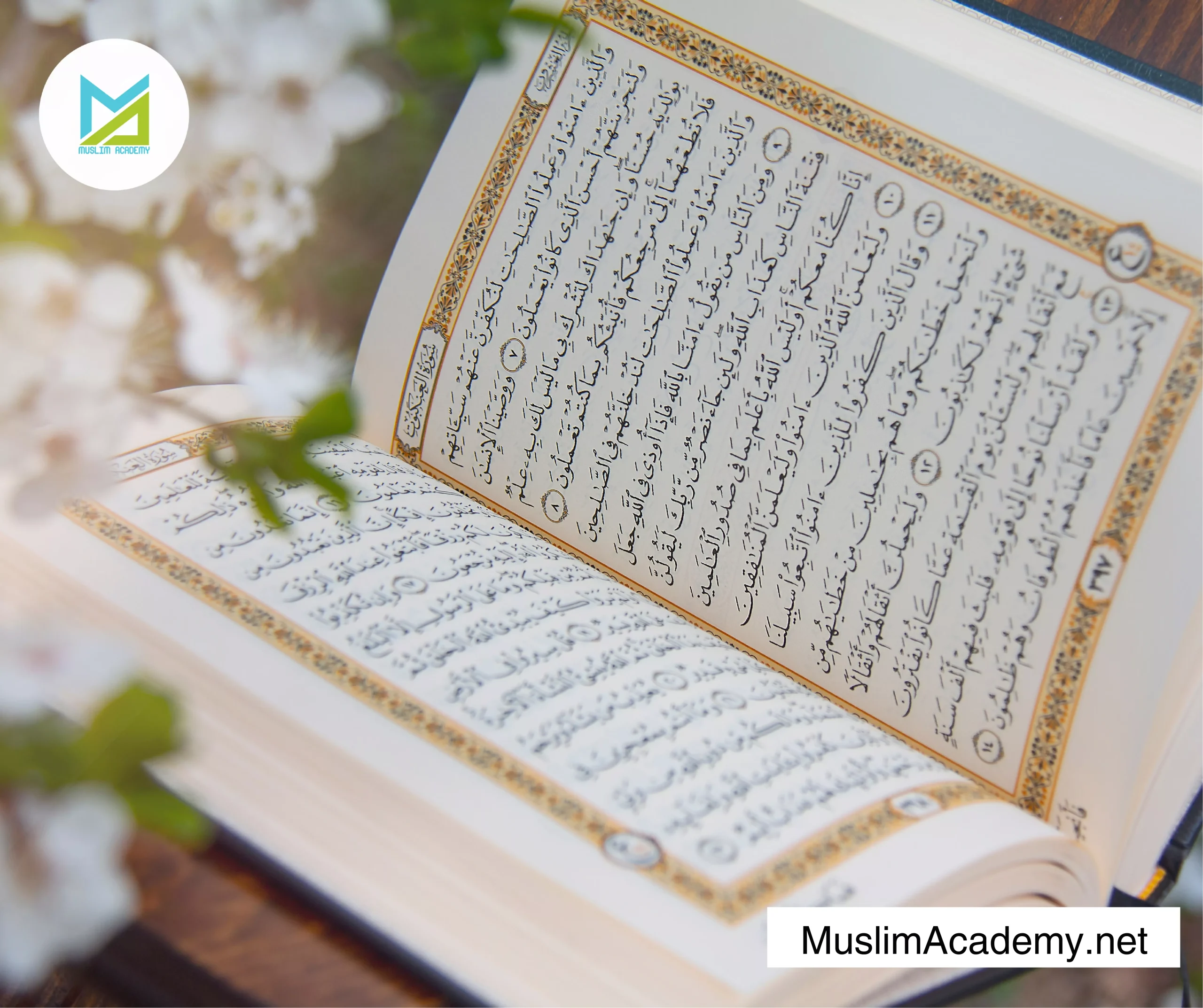 Quran Explanation 2, Muslim Academy