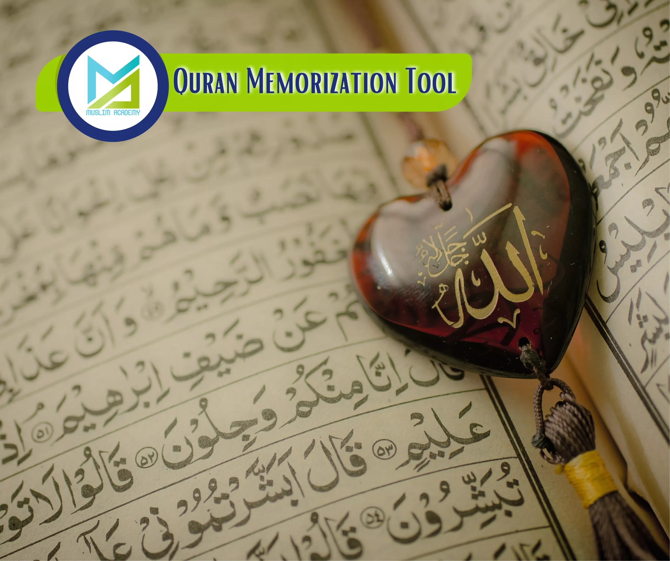 Quran Memorization Tool, Muslim Academy