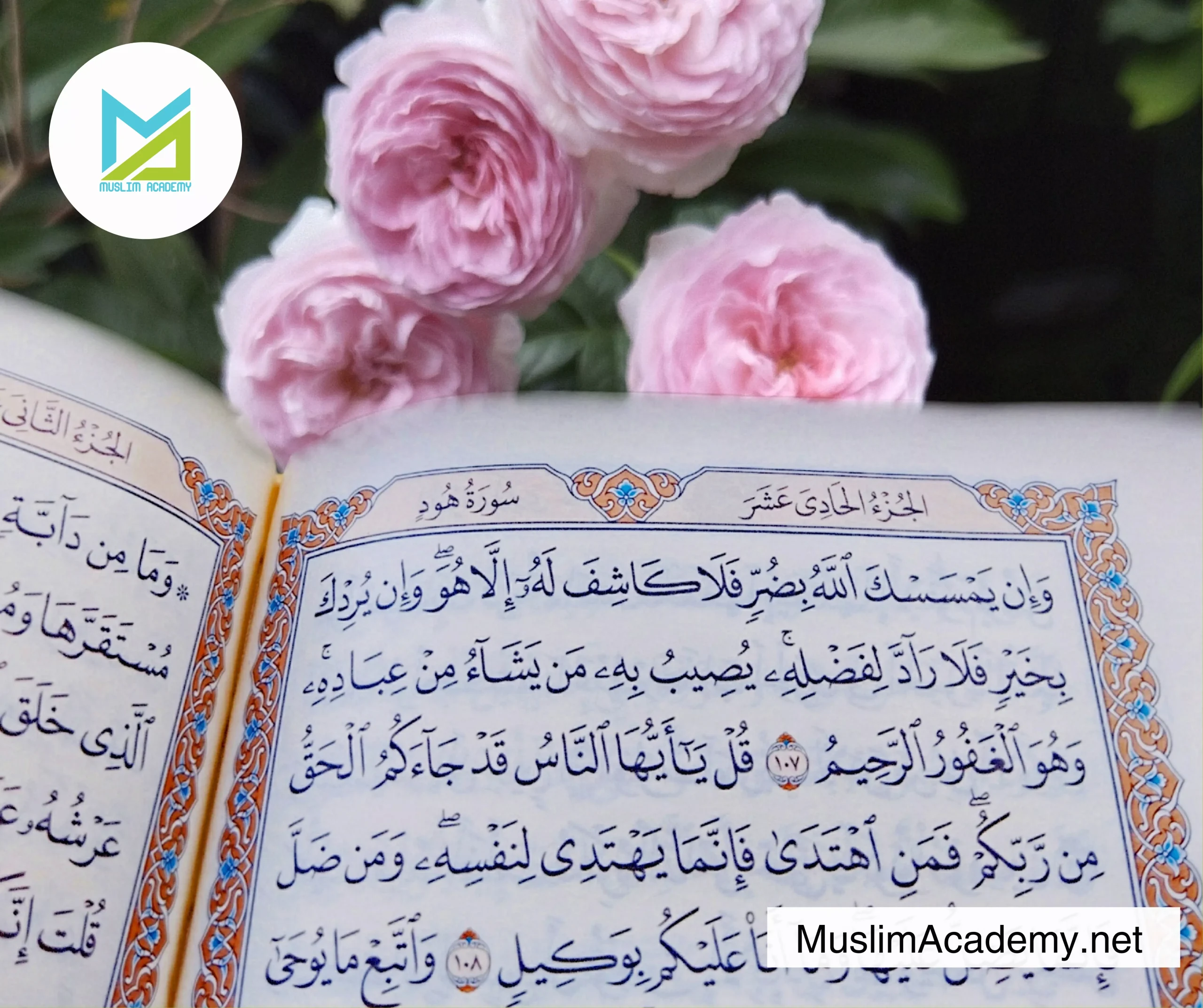 Importance Of Surah Yaseen 2, Muslim Academy